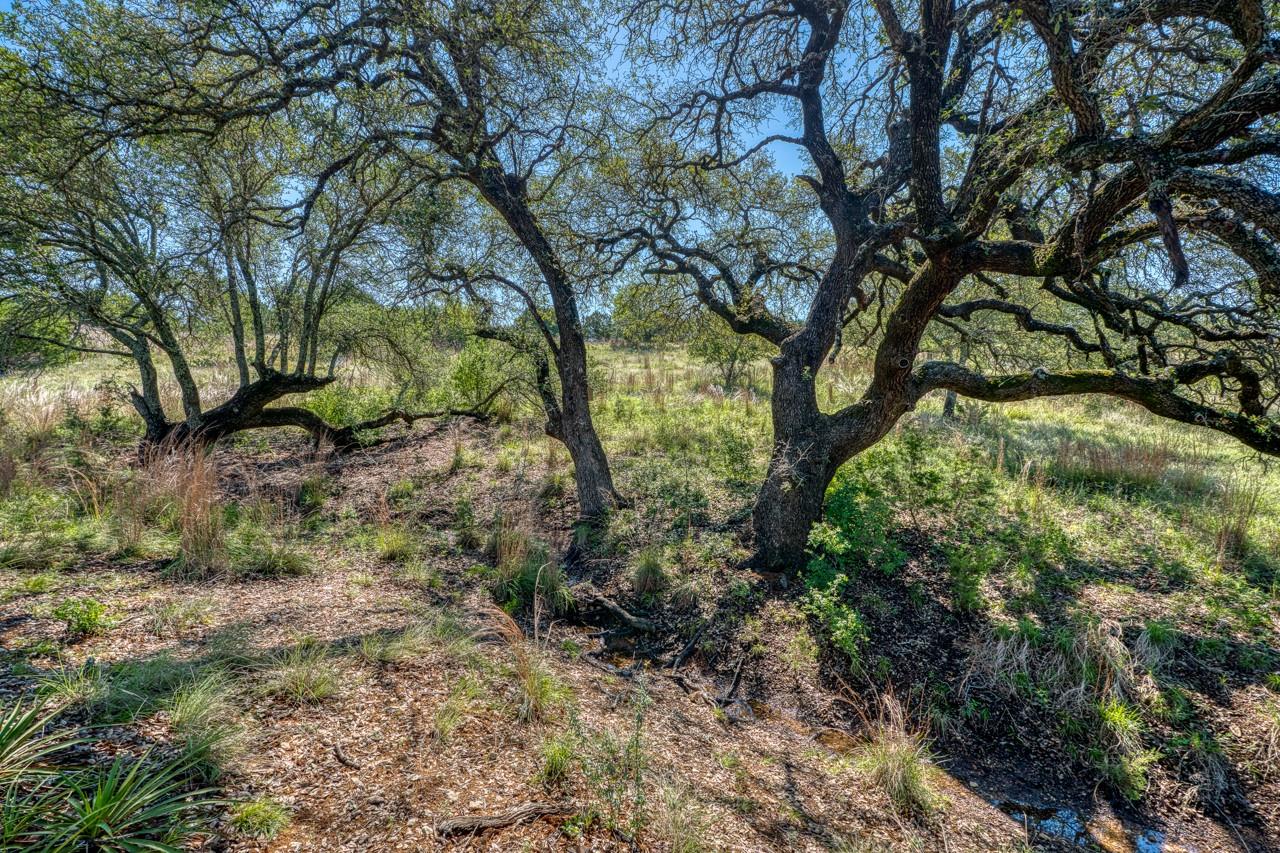 Lot 16 Sable Pass, Lampasas, TX 76550