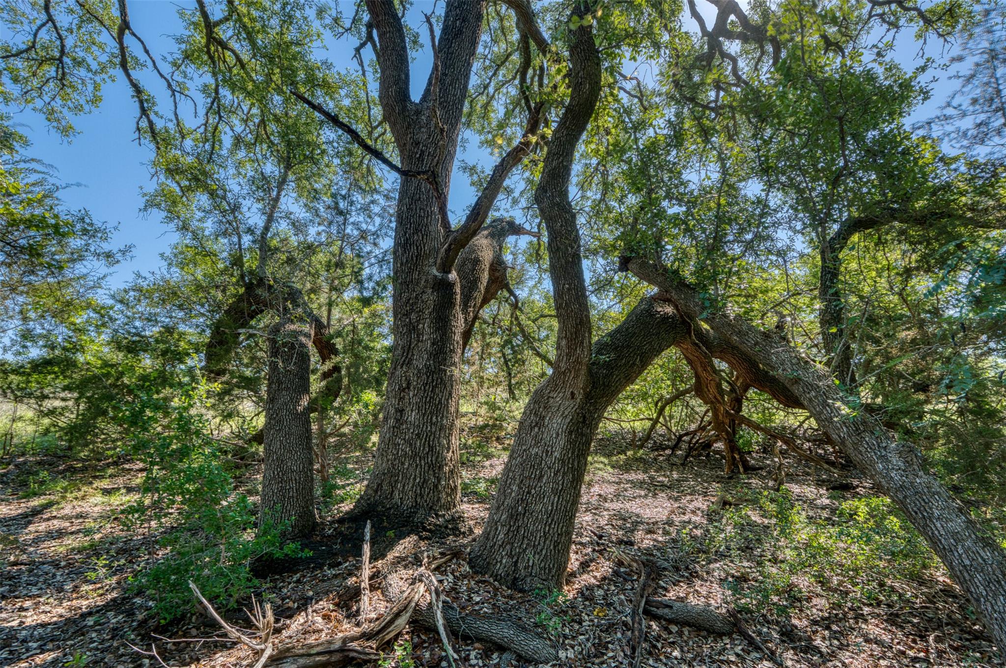Lot 16 Sable Pass, Lampasas, TX 76550