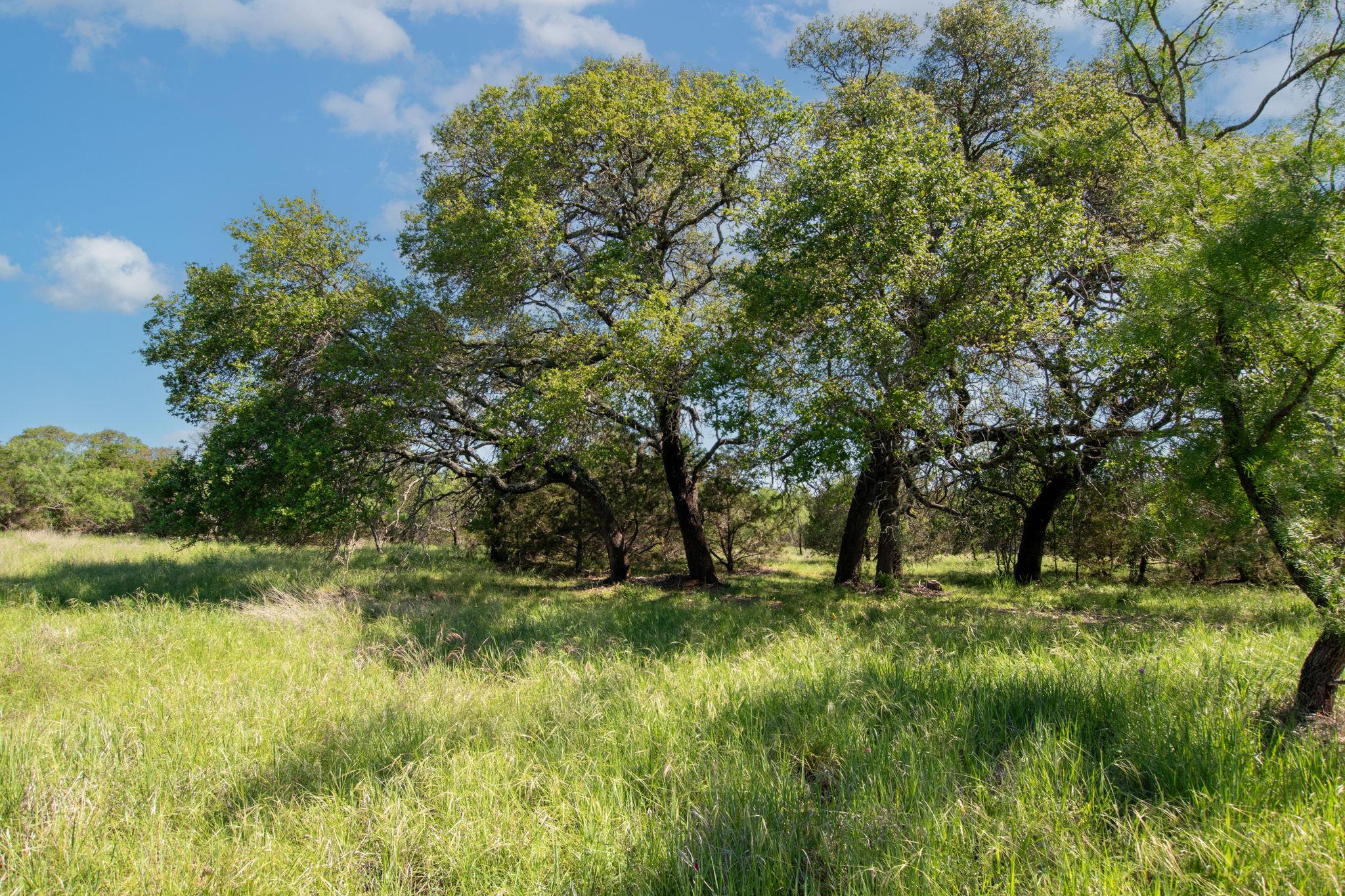 - Main Rd, Lampasas, TX 76550