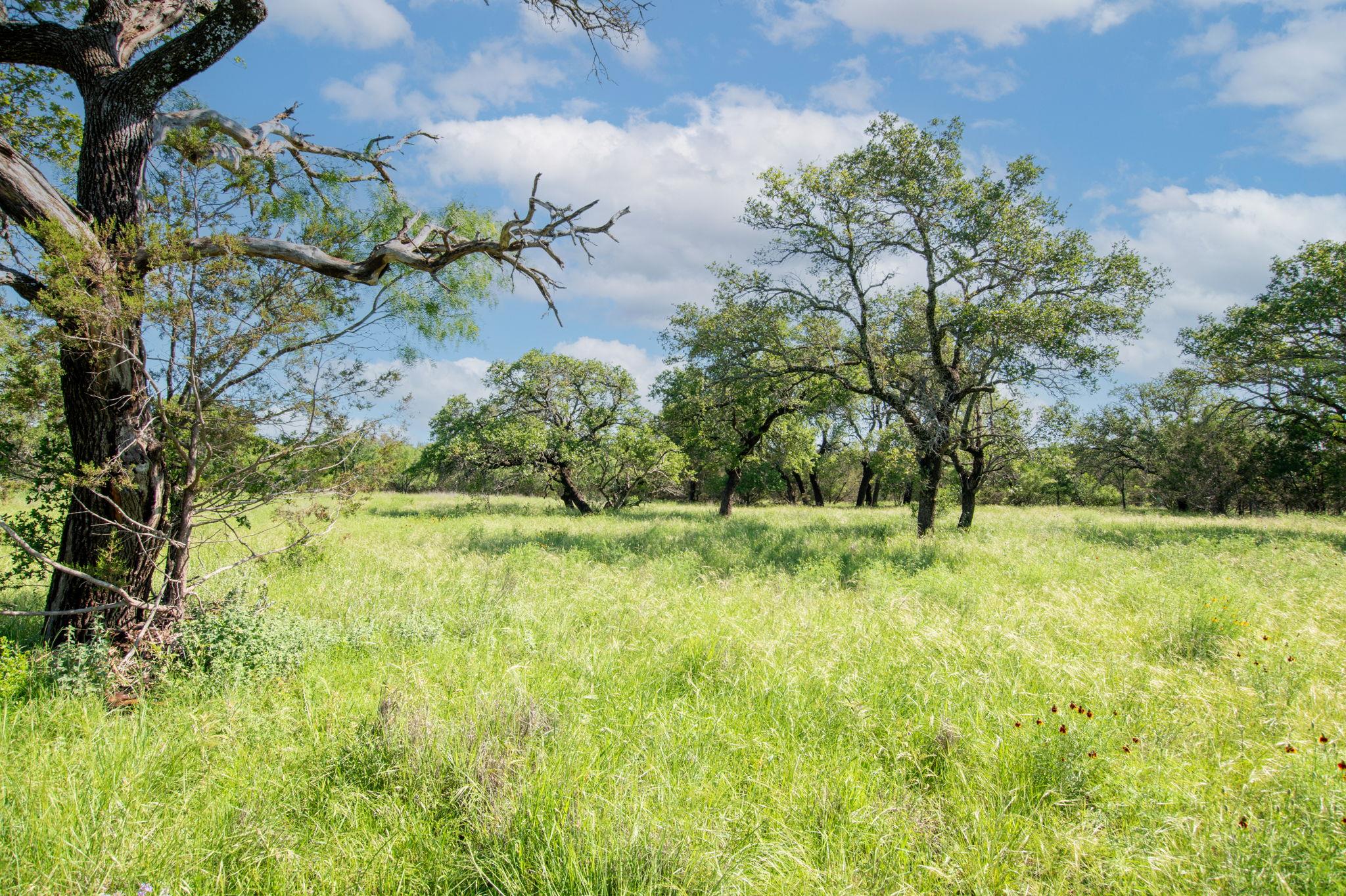- Main Rd, Lampasas, TX 76550