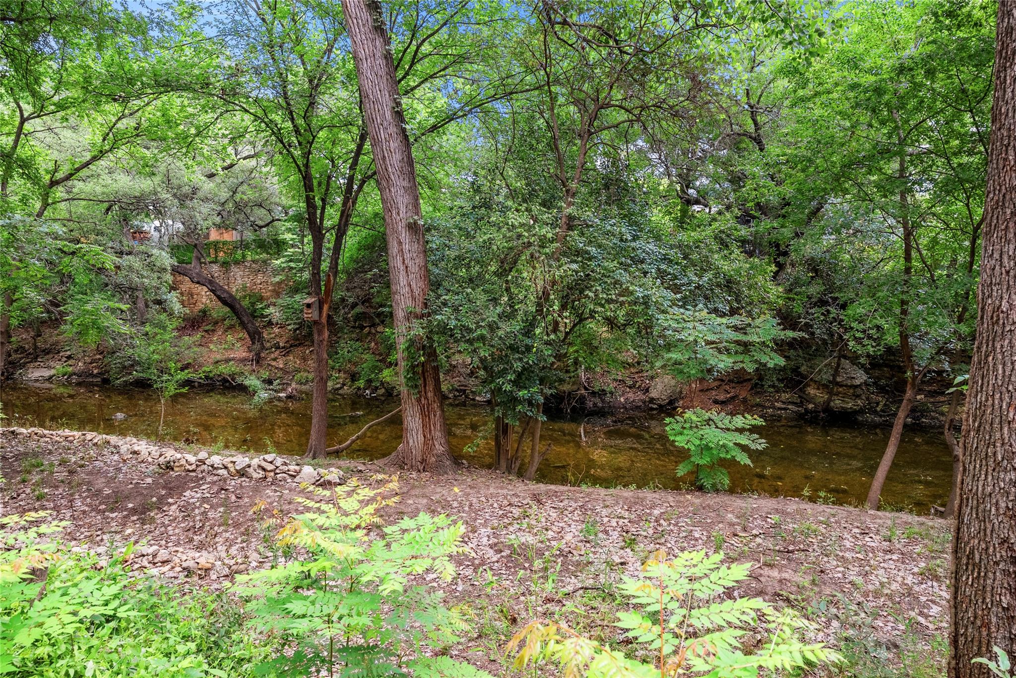 4927 Strass Dr, Austin, TX 78731