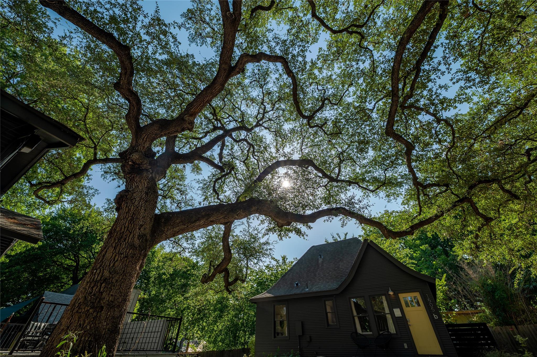 1503 Drake Ave # B, Austin, TX 78704