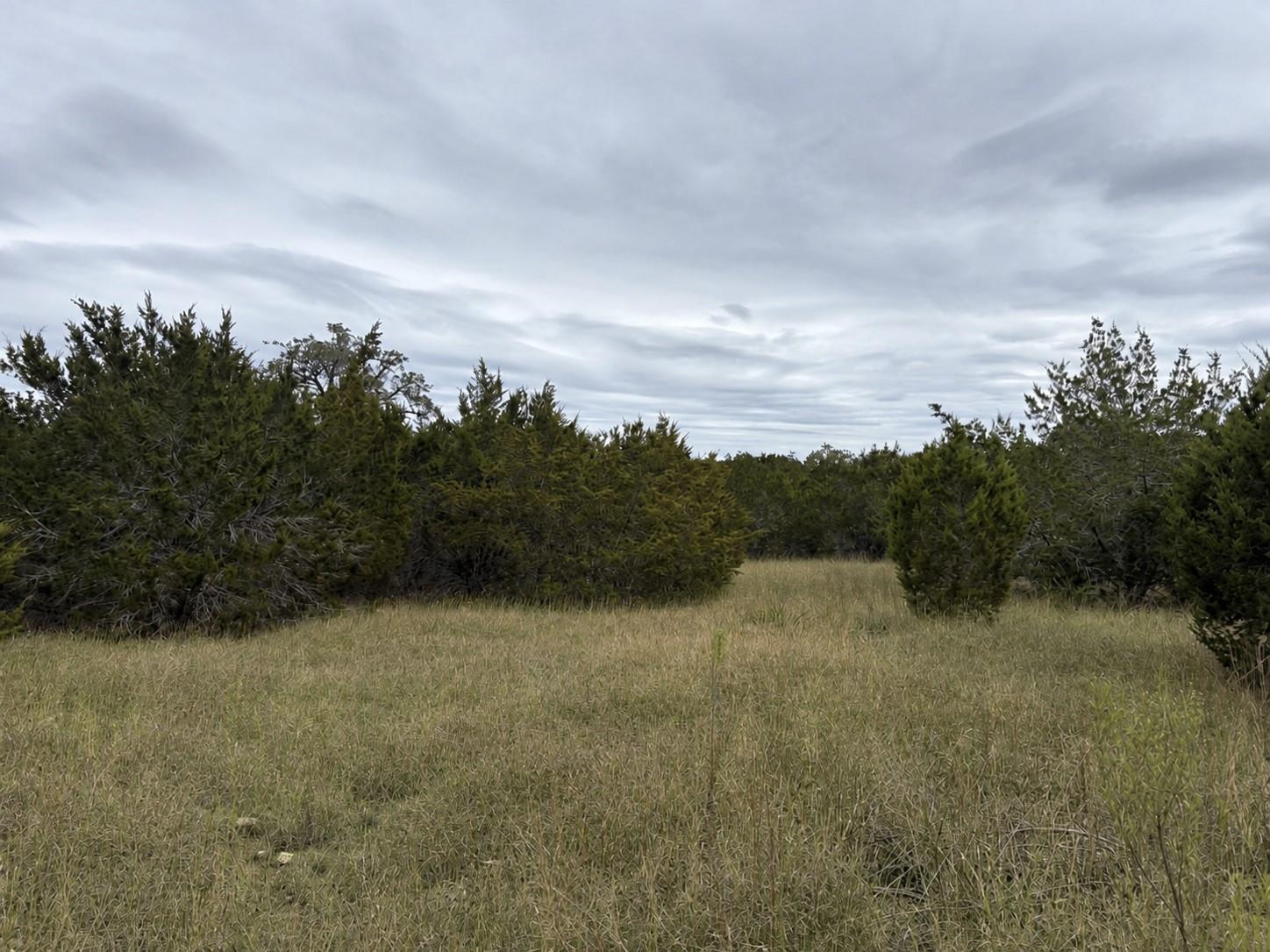 Lot 20E Overland Stage Rd, Dripping Springs, TX 78620