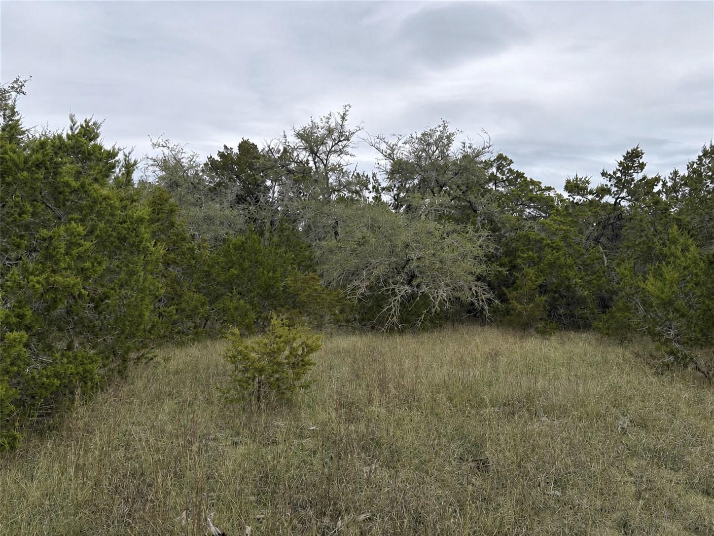 Lot 20E Overland Stage Rd, Dripping Springs, TX 78620