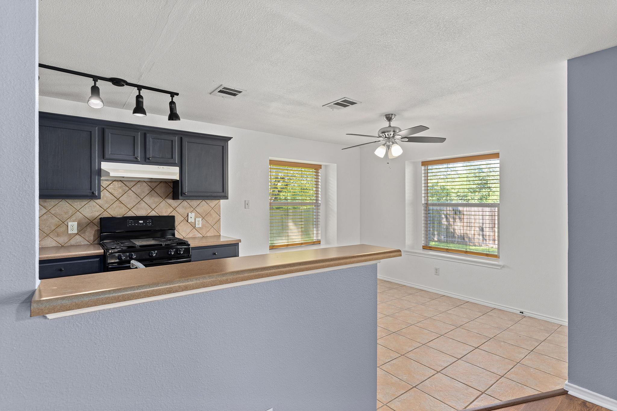 1110 Sundrop Pl, Round Rock, TX 78665