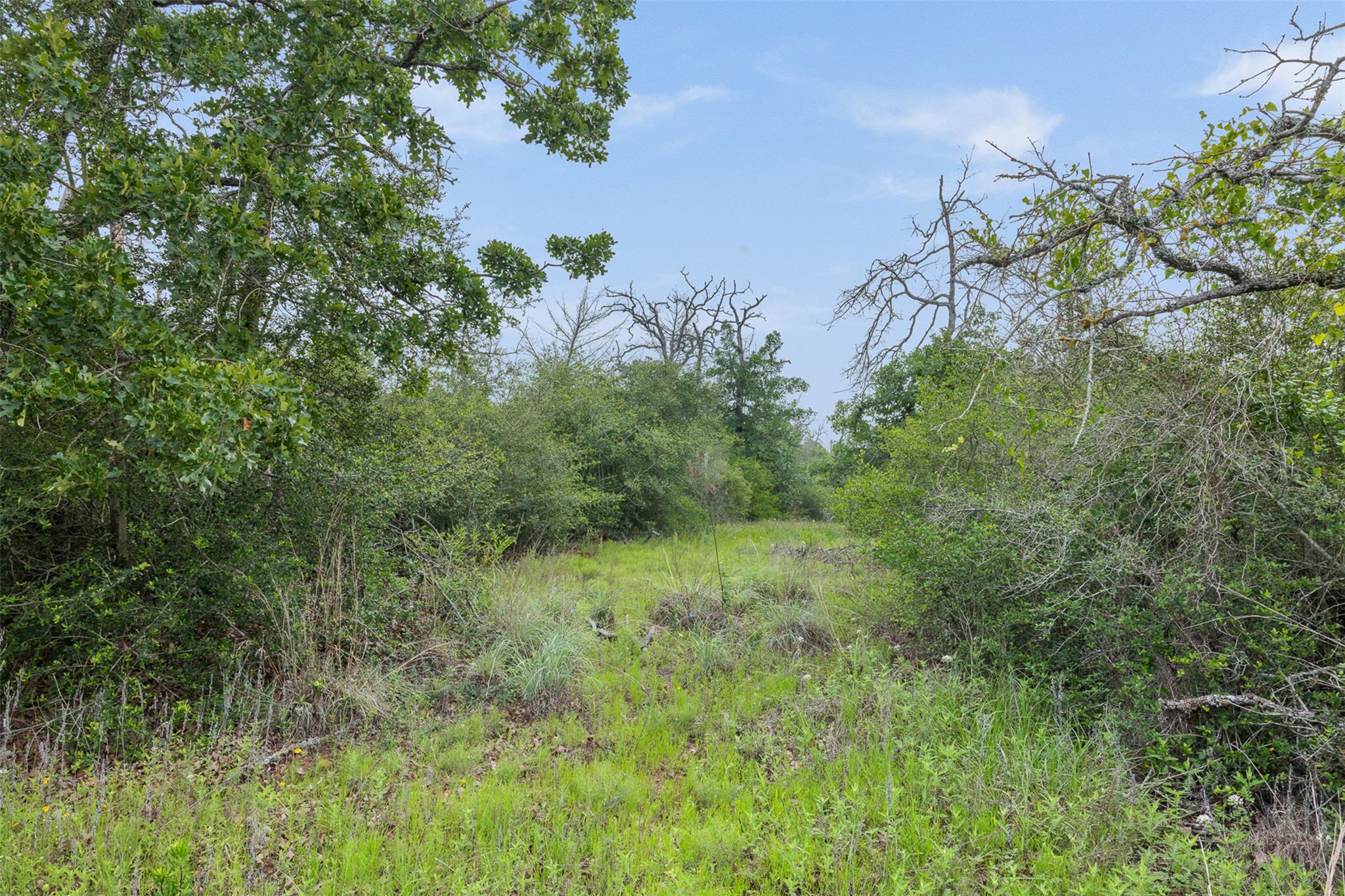 900 22 Hills Rd, Gause, TX 77857
