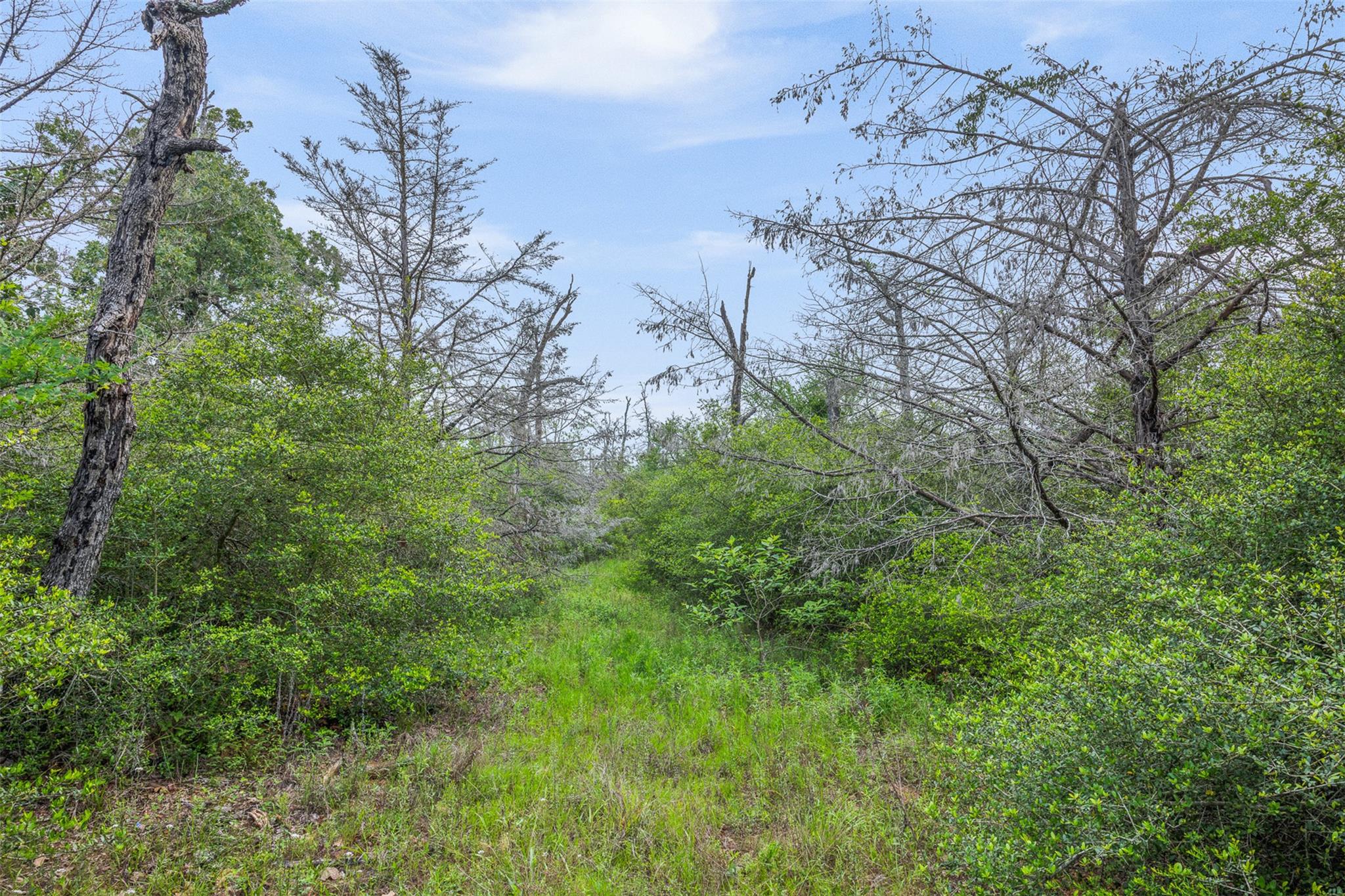 900 22 Hills Rd, Gause, TX 77857