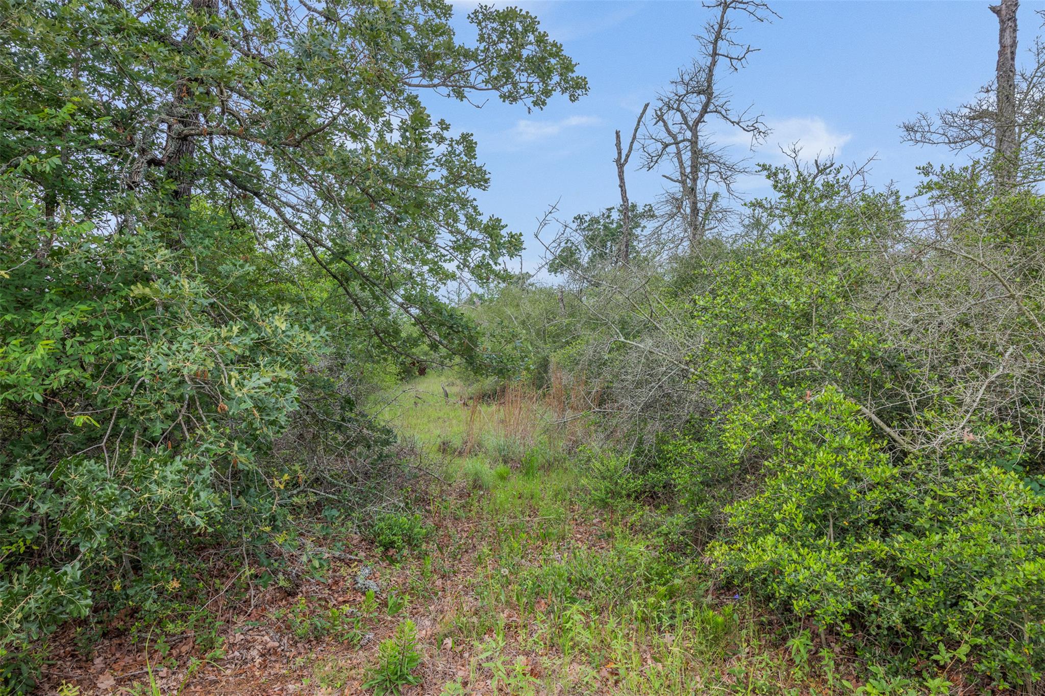 900 22 Hills Rd, Gause, TX 77857