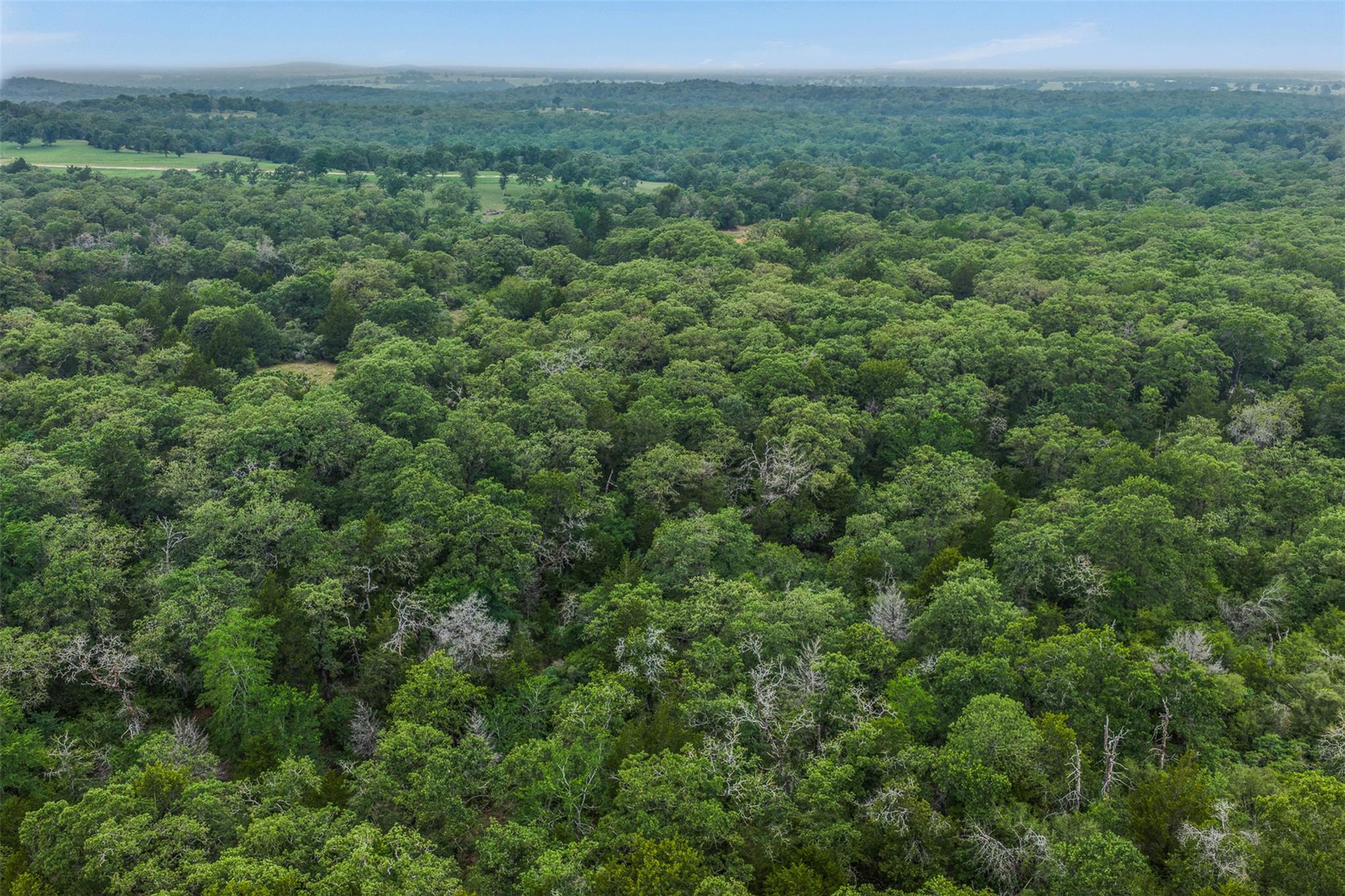 900 22 Hills Rd, Gause, TX 77857