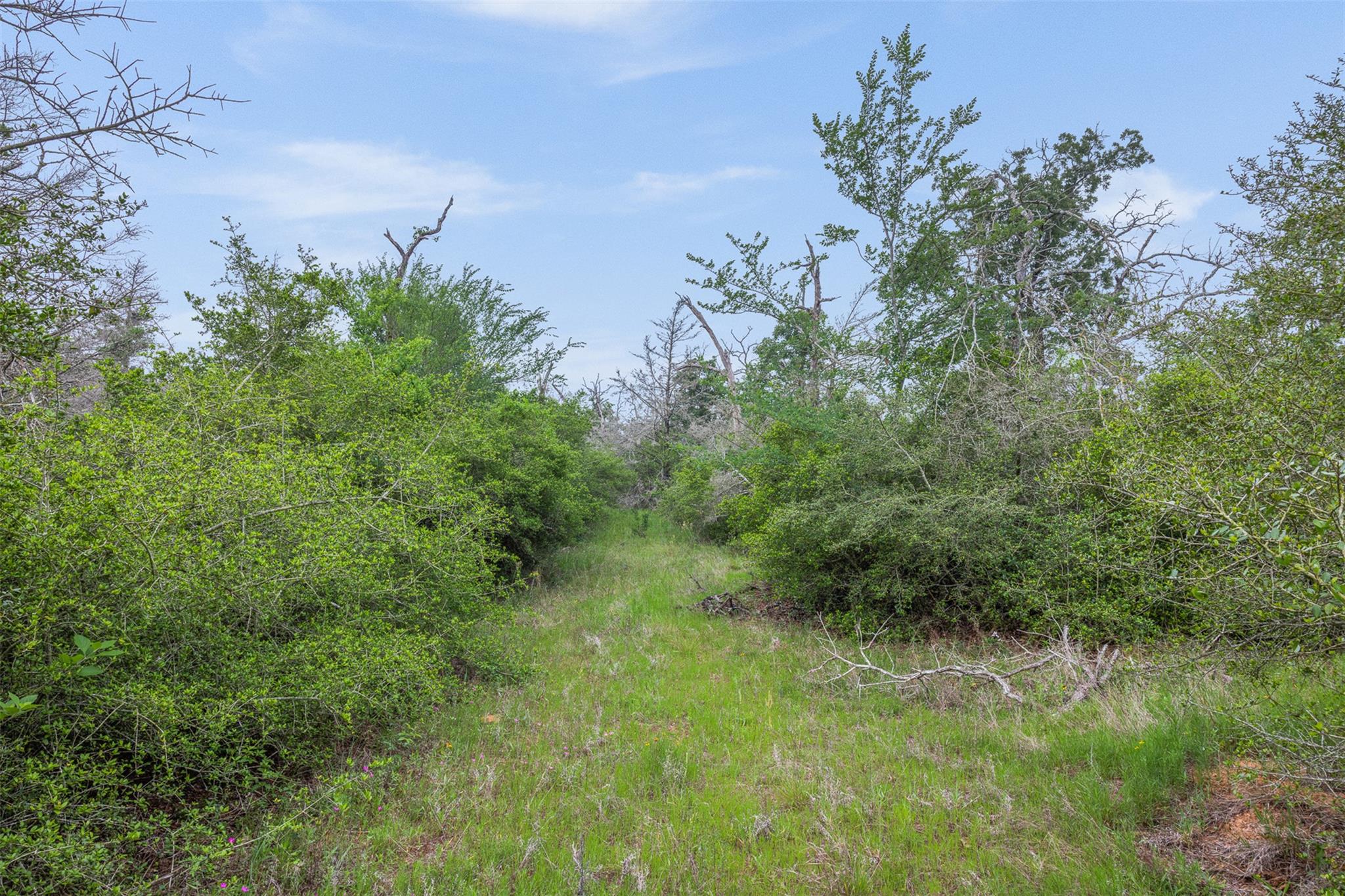 900 22 Hills Rd, Gause, TX 77857