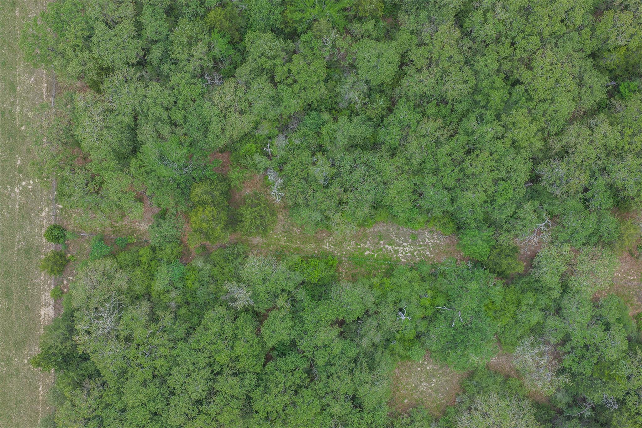 900 22 Hills Rd, Gause, TX 77857