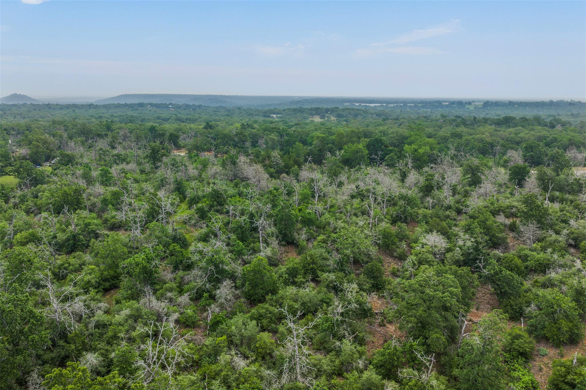 900 22 Hills Rd, Gause, TX 77857