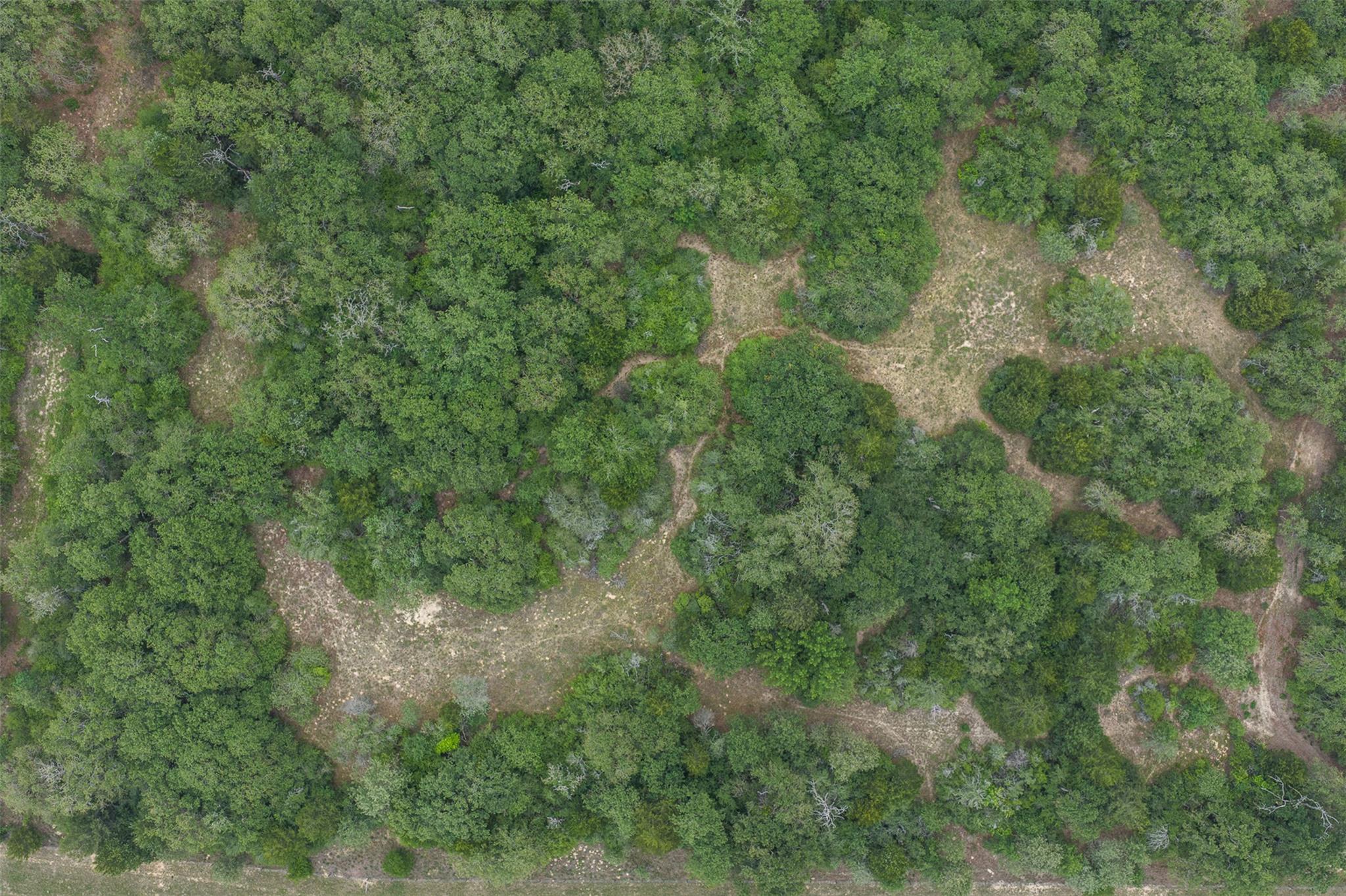 900 22 Hills Rd, Gause, TX 77857