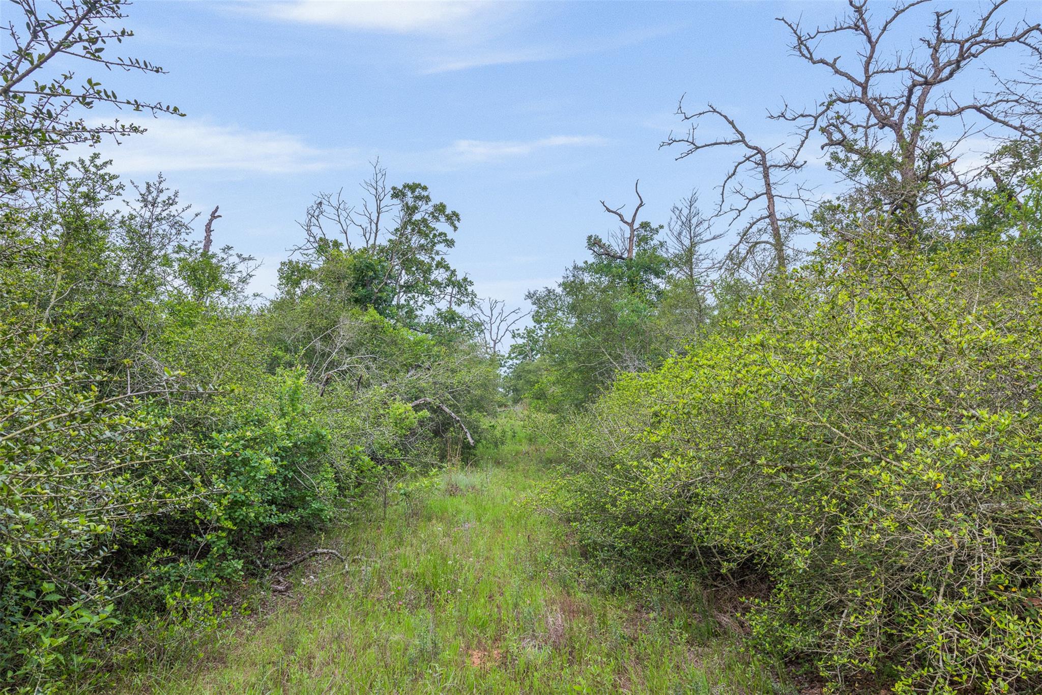 900 22 Hills Rd, Gause, TX 77857