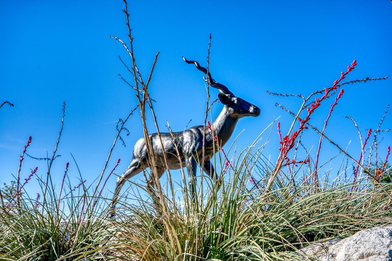 993 Blackbuck Ridge Dr, Lampasas, TX 76550
