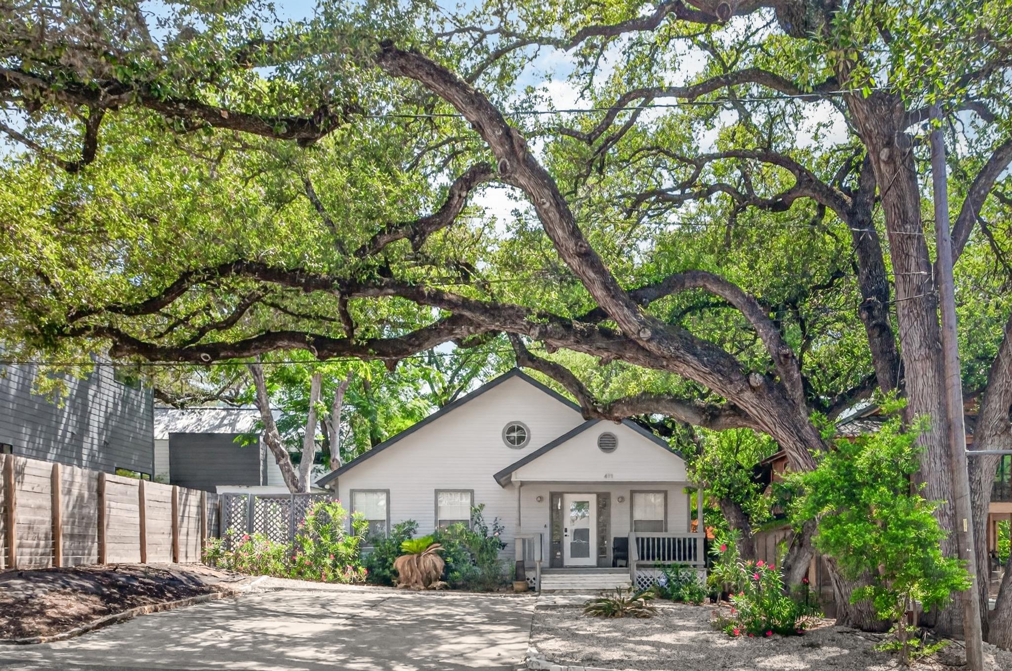 411 W Live Oak St, Austin, TX 78704