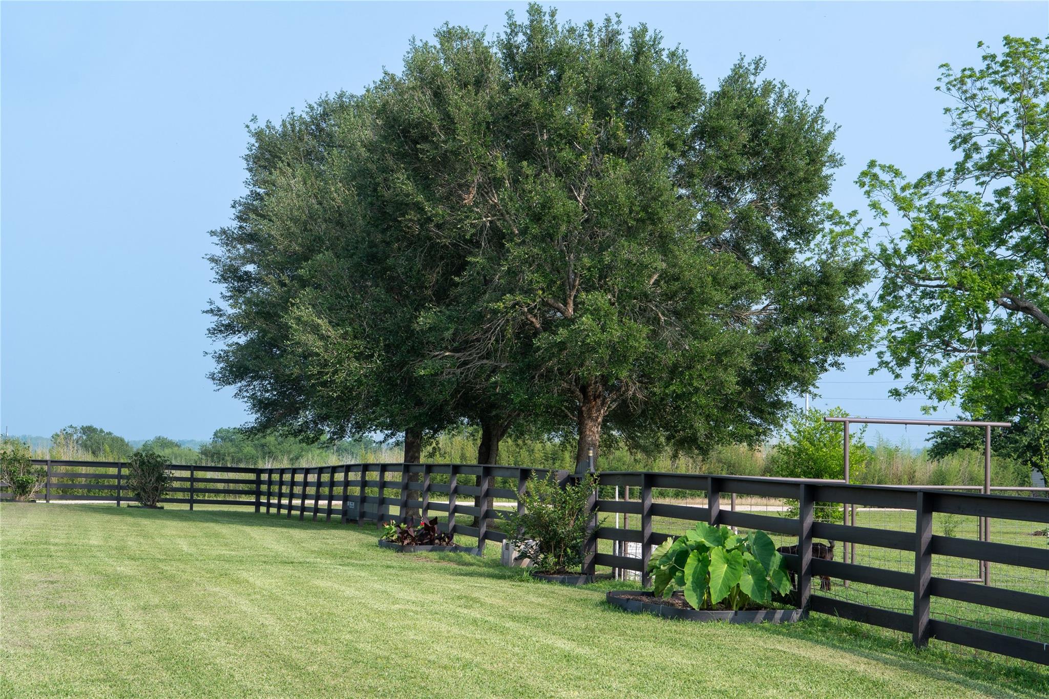 8271 Fm 529 Rd, Bellville, TX 77418