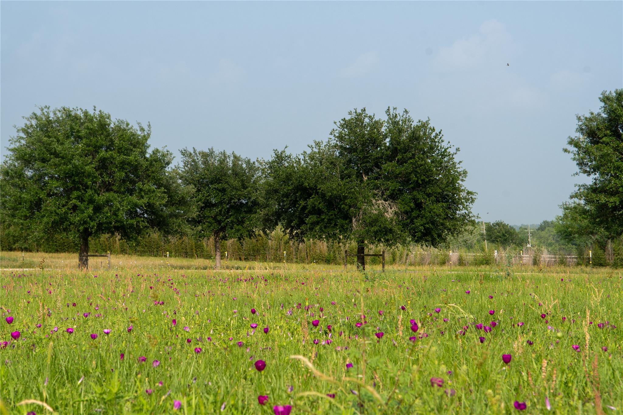 8271 Fm 529 Rd, Bellville, TX 77418