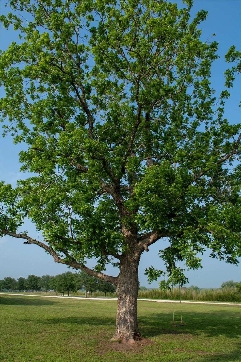 8271 Fm 529 Rd, Bellville, TX 77418