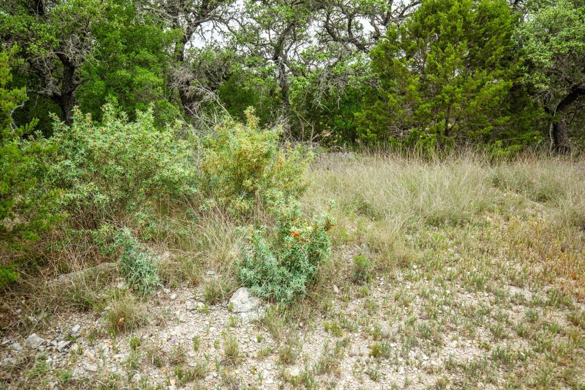 Lot 1 B Seven Hills Dr, Junction, TX 76849