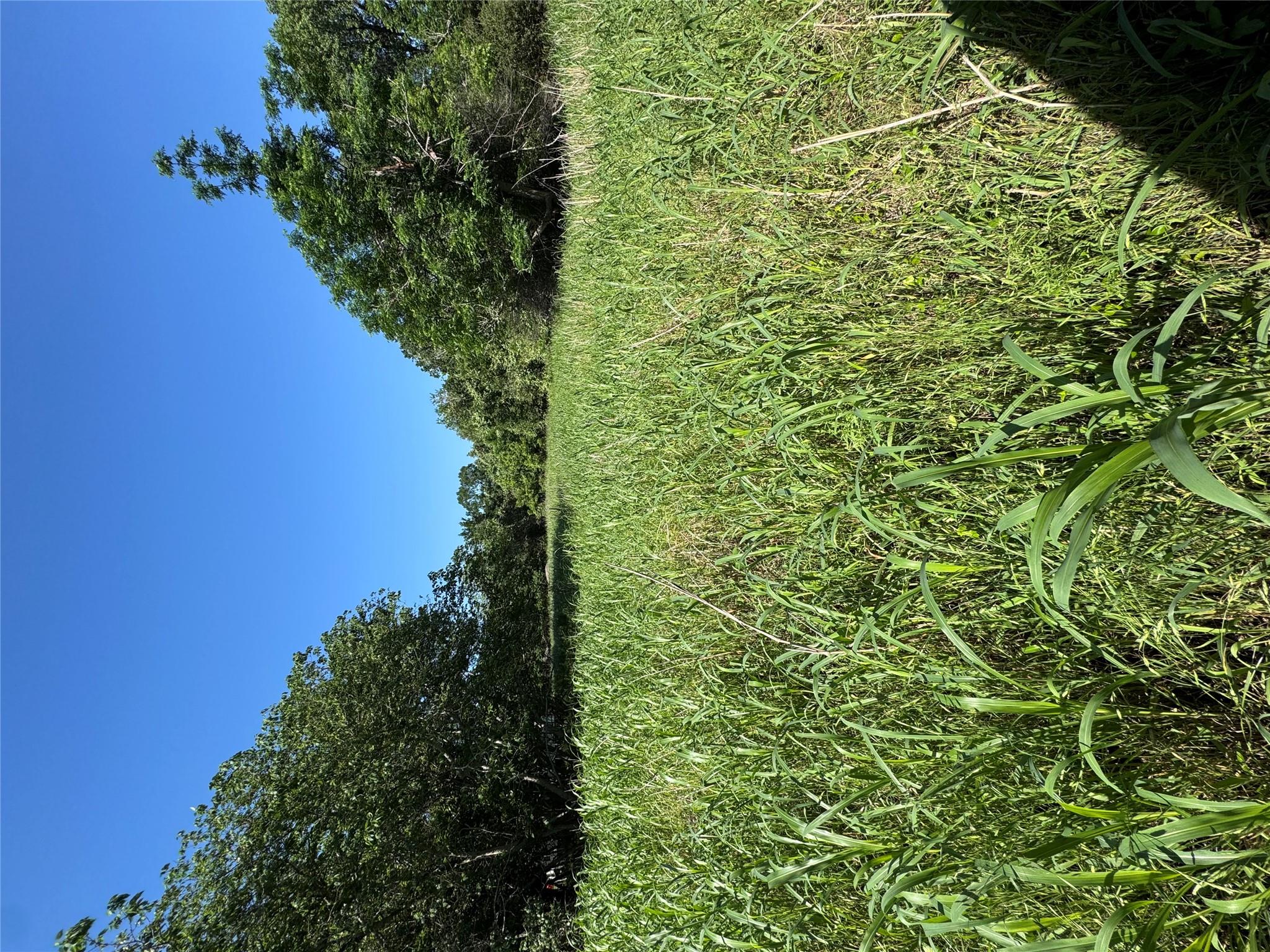 600 Gazley St, Smithville, TX 78957