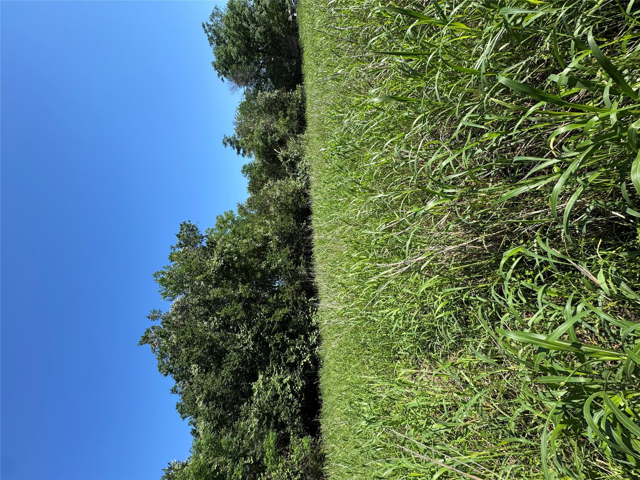 600 Gazley St, Smithville, TX 78957