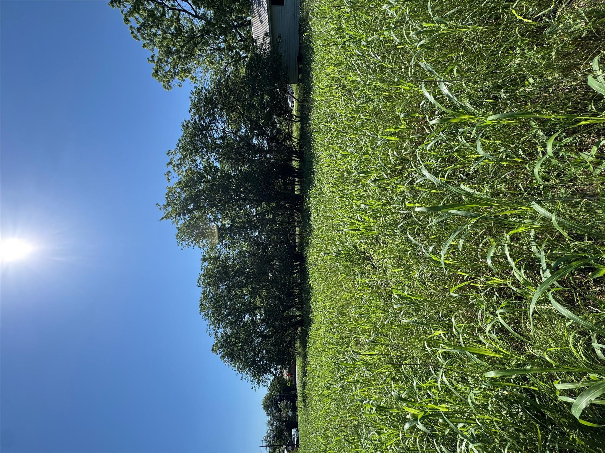 600 Gazley St, Smithville, TX 78957