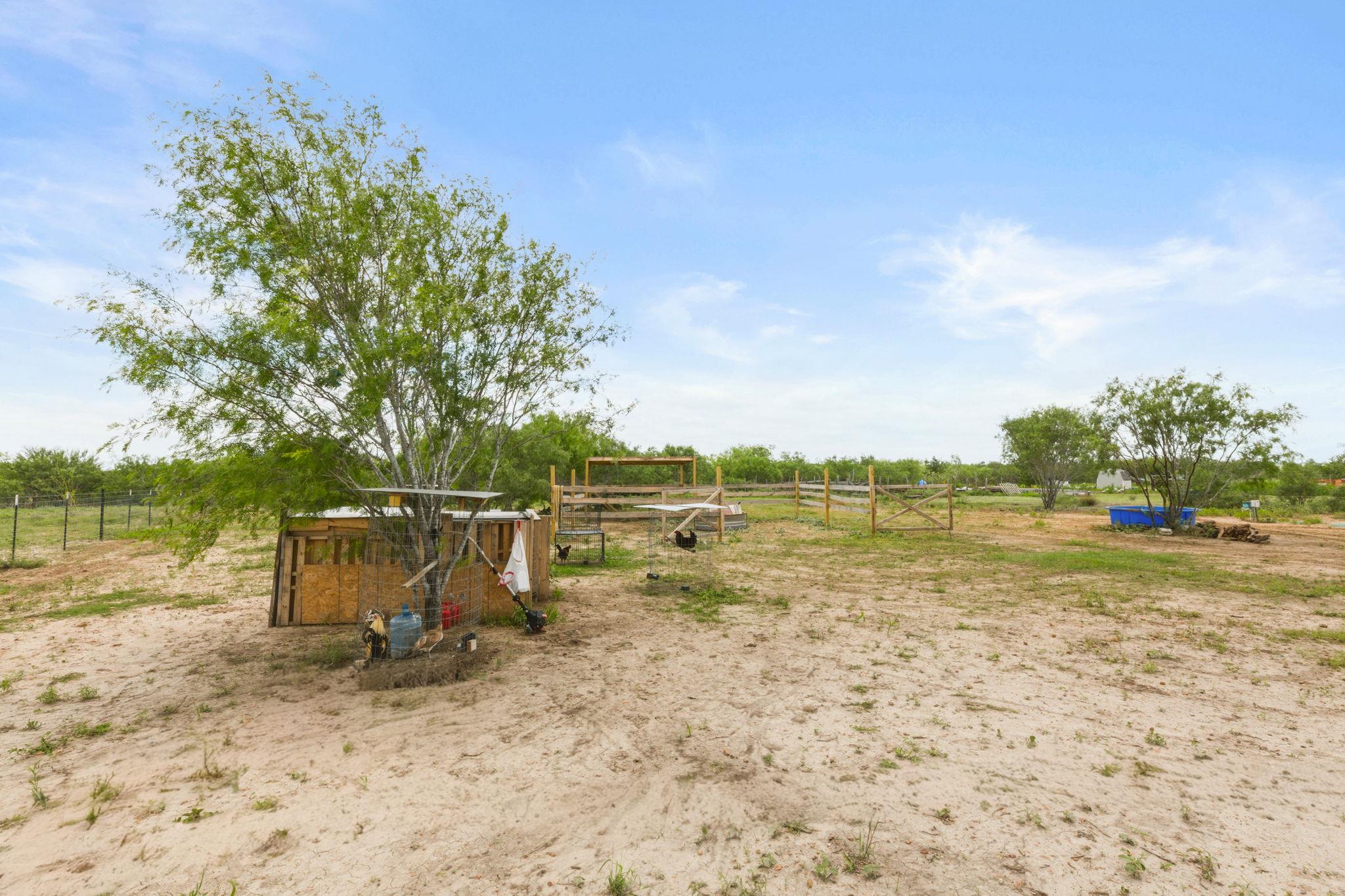 305 Blue Quail St, Dale, TX 78616
