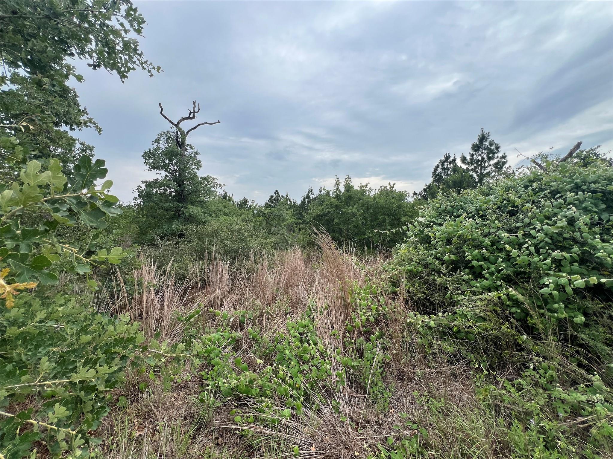 TBD Blue Jay Rd, Bastrop, TX 78602