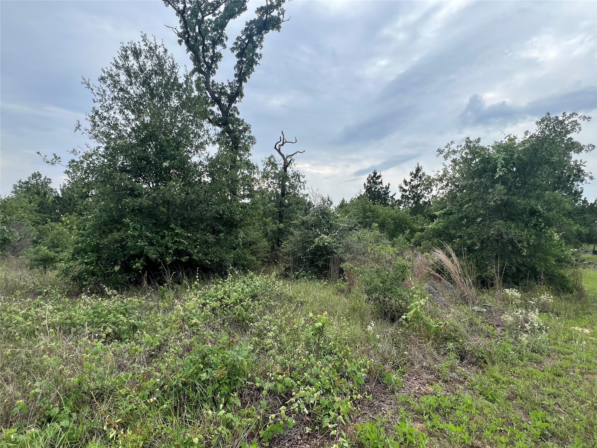 TBD Blue Jay Rd, Bastrop, TX 78602