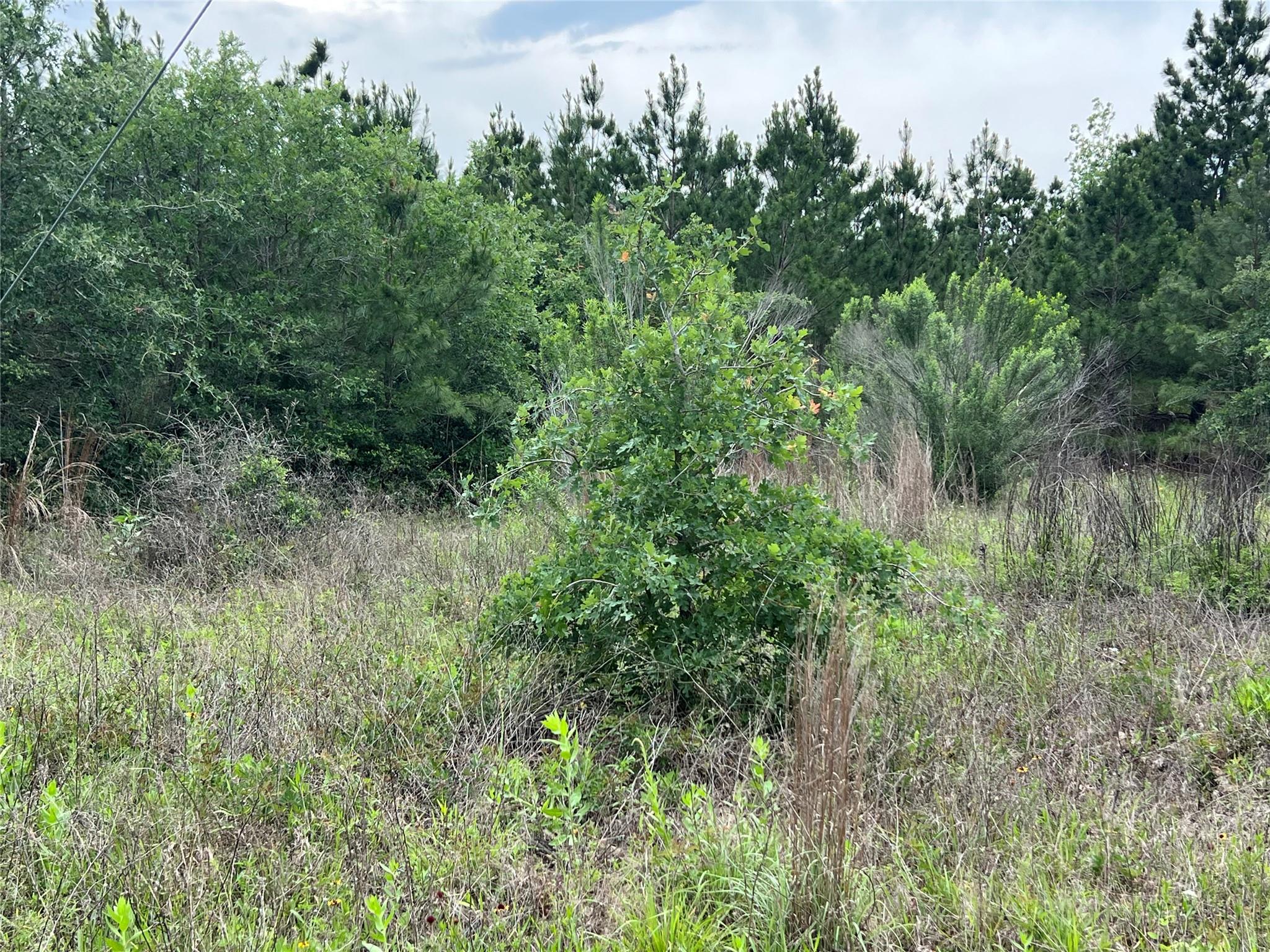 TBD Blue Jay Rd, Bastrop, TX 78602