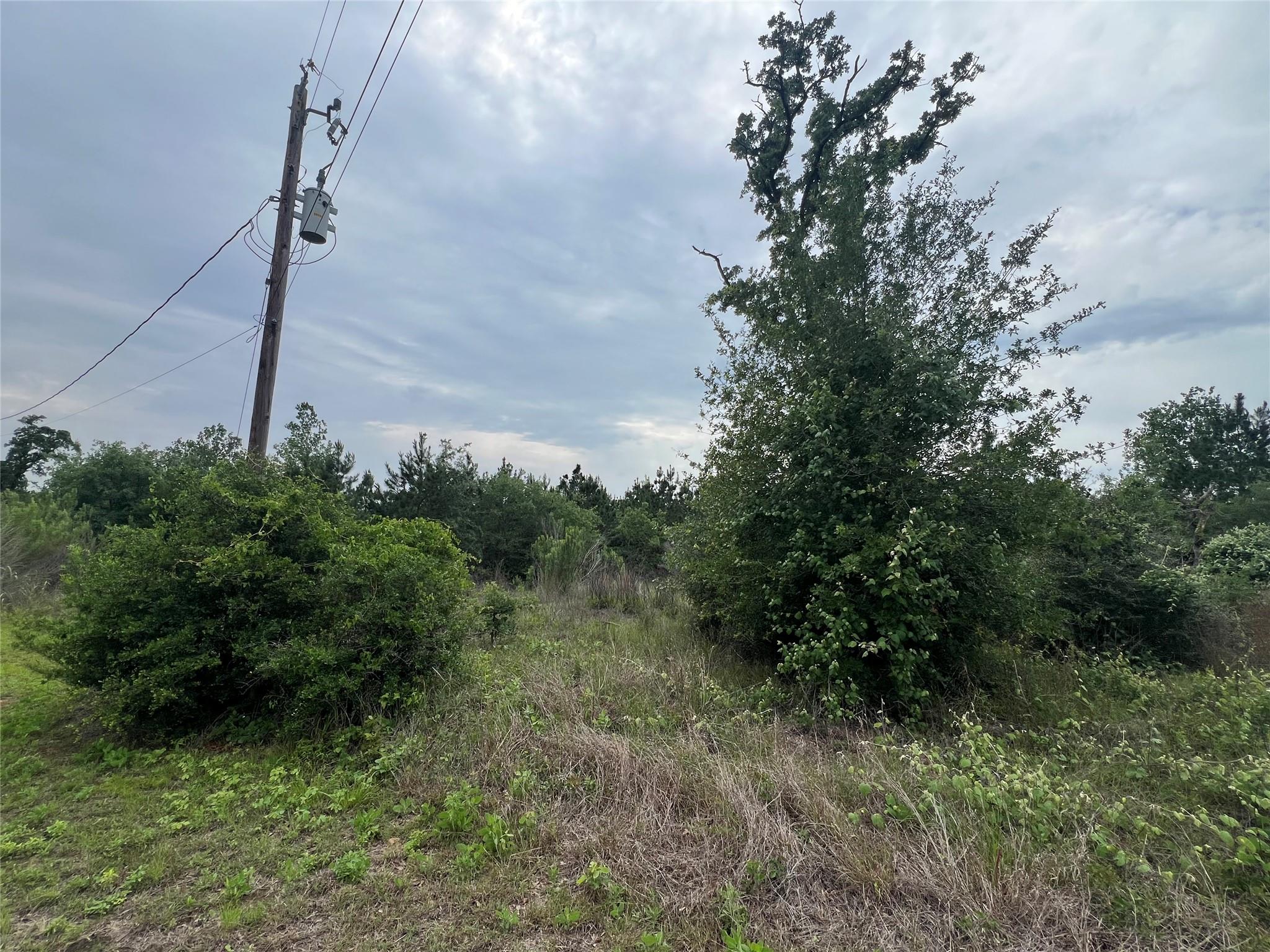 TBD Blue Jay Rd, Bastrop, TX 78602