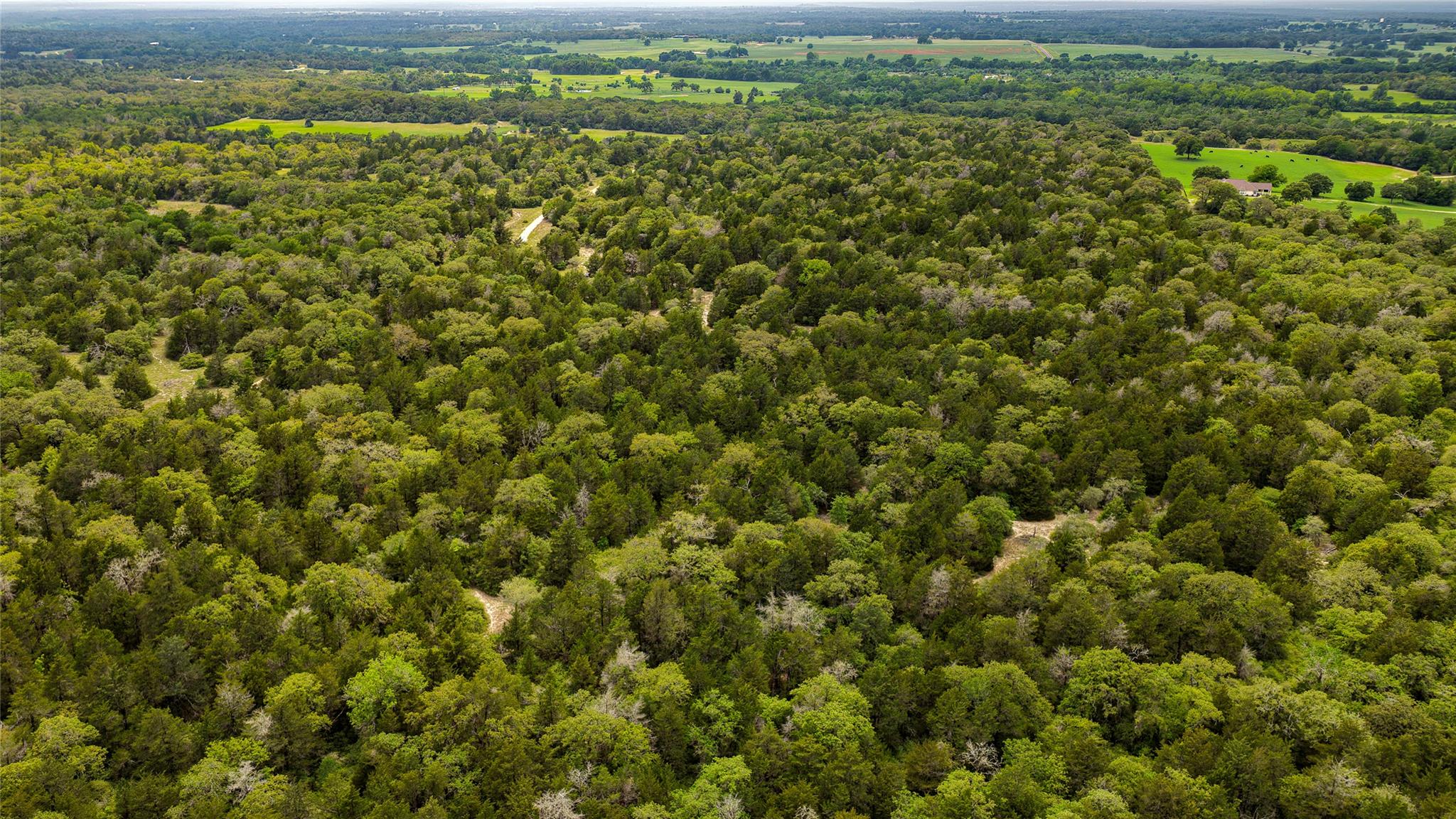 5632 County Road 317, Caldwell, TX 77836