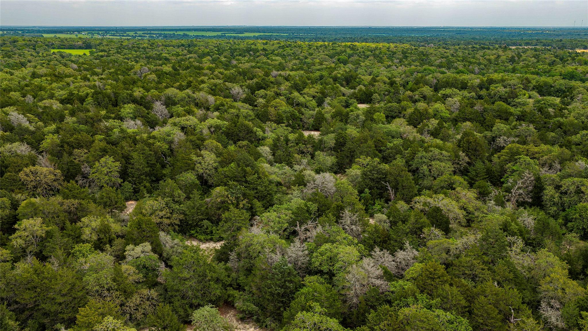 5632 County Road 317, Caldwell, TX 77836