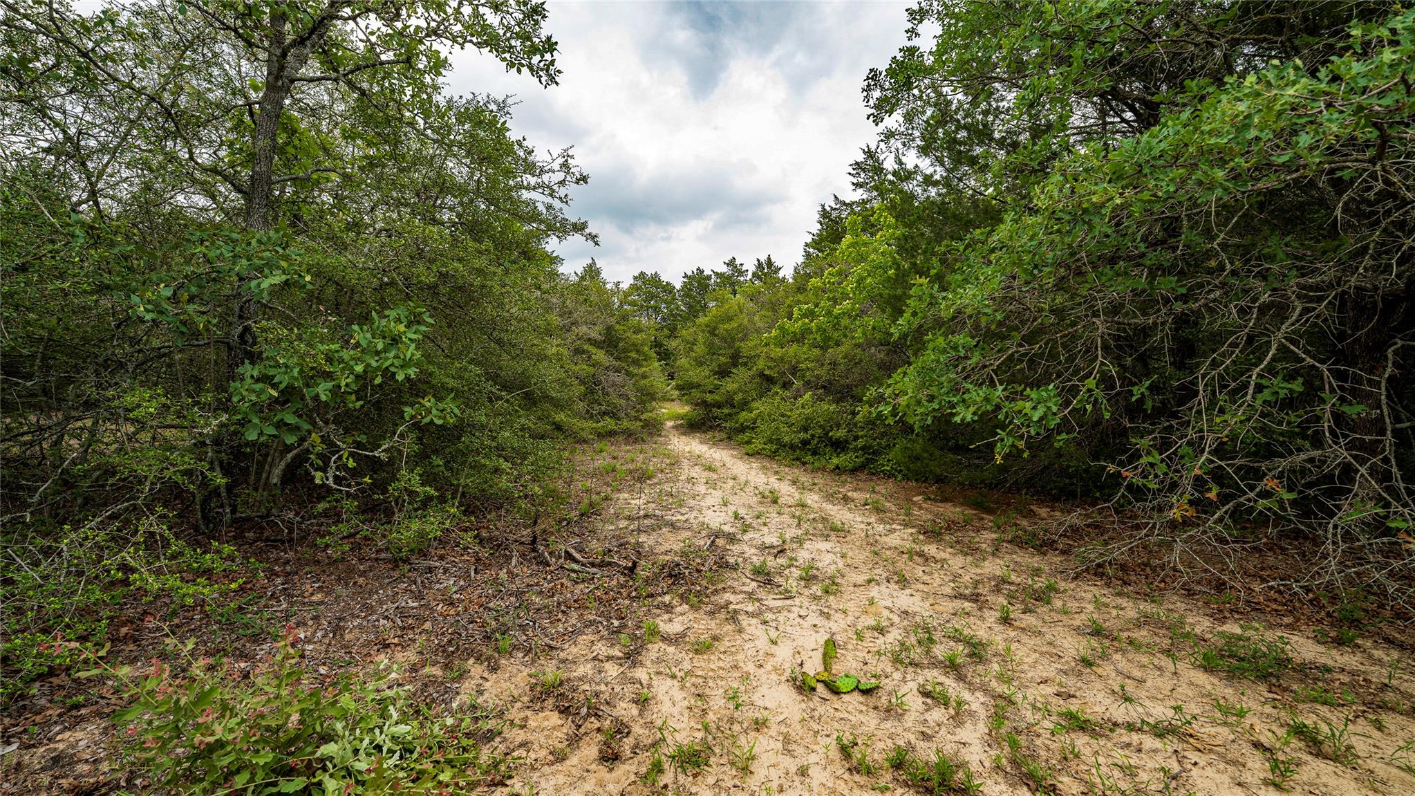 5632 County Road 317, Caldwell, TX 77836