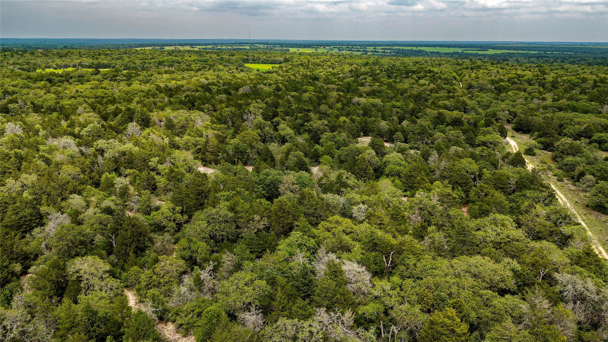 5632 County Road 317, Caldwell, TX 77836