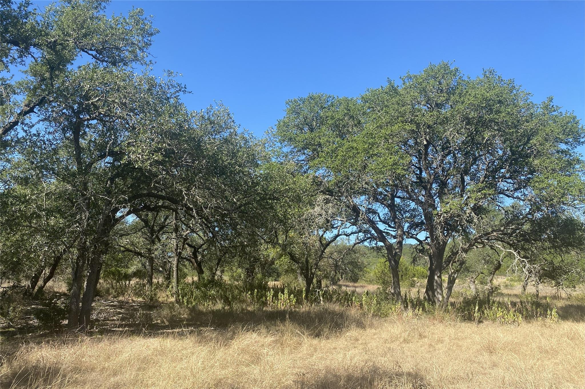 00 Spoke Hollow Rd, Wimberley, TX 78676