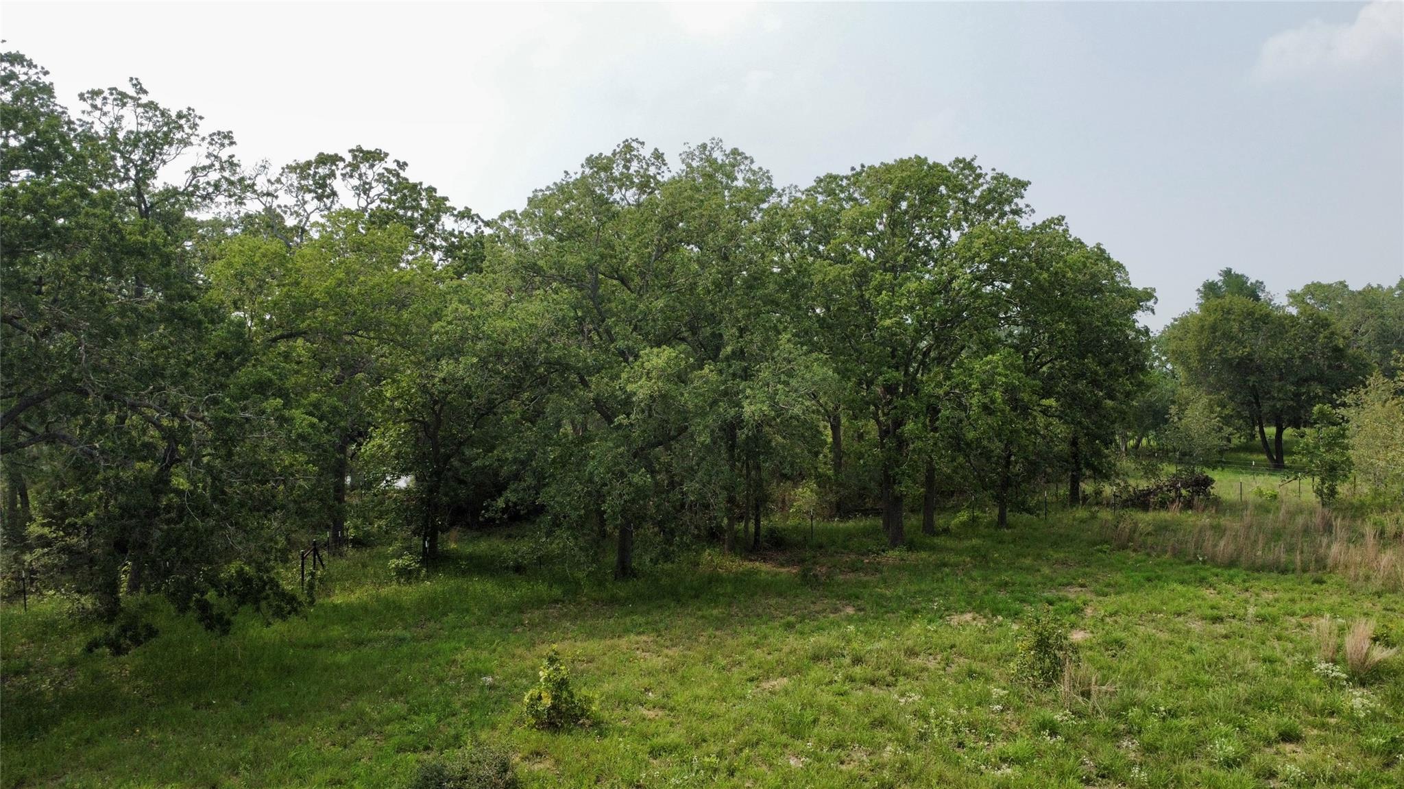 4177 Old Colony Line Rd, Lockhart, TX 78644
