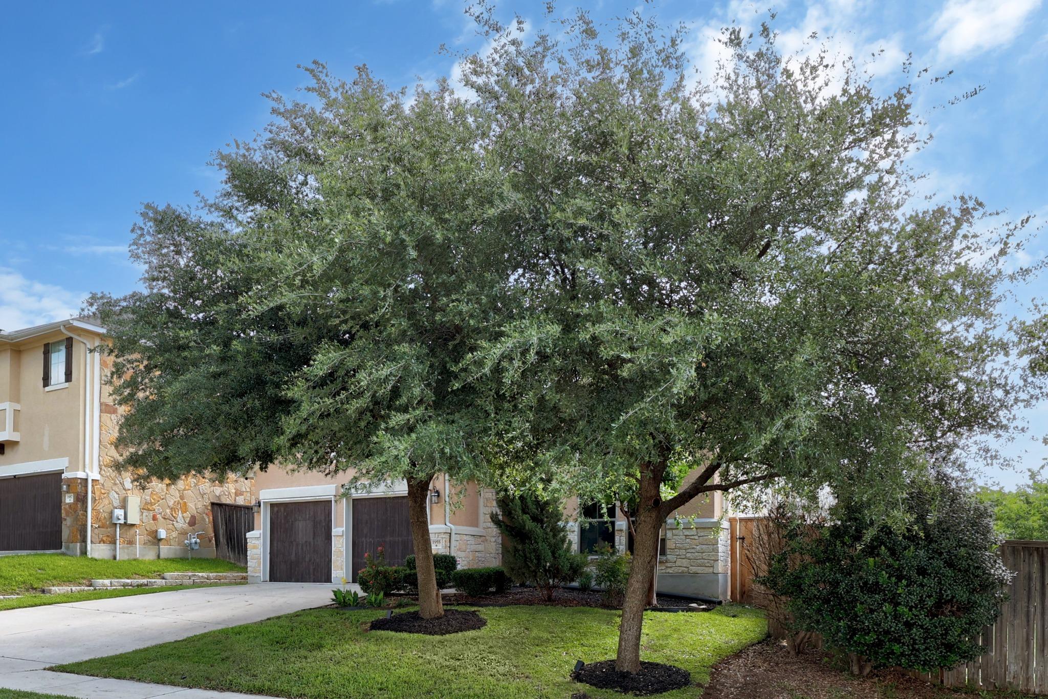 1955 Kempwood Loop, Round Rock, TX 78665
