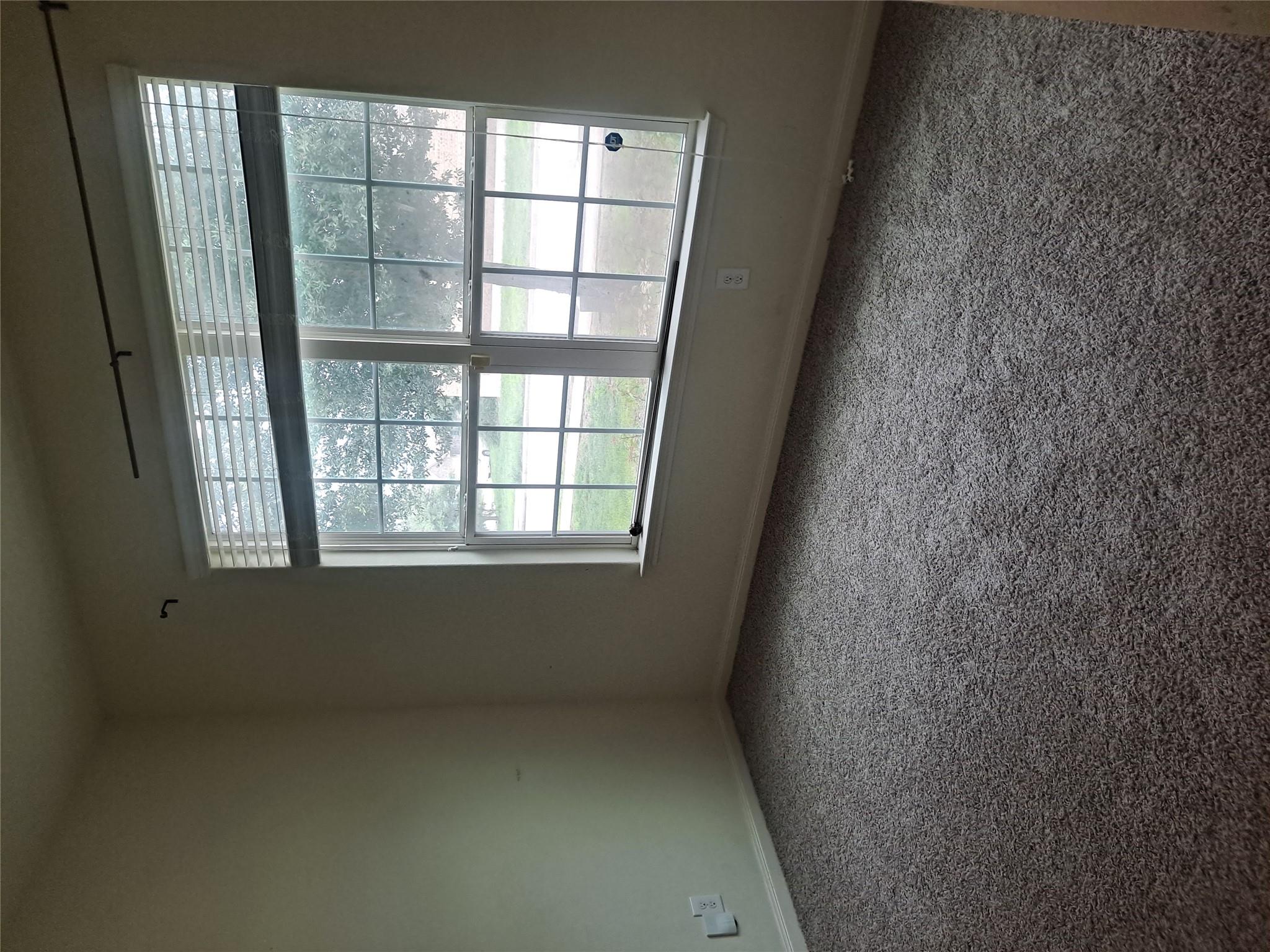 19208 Freedom Hill Ln, Manor, TX 78653
