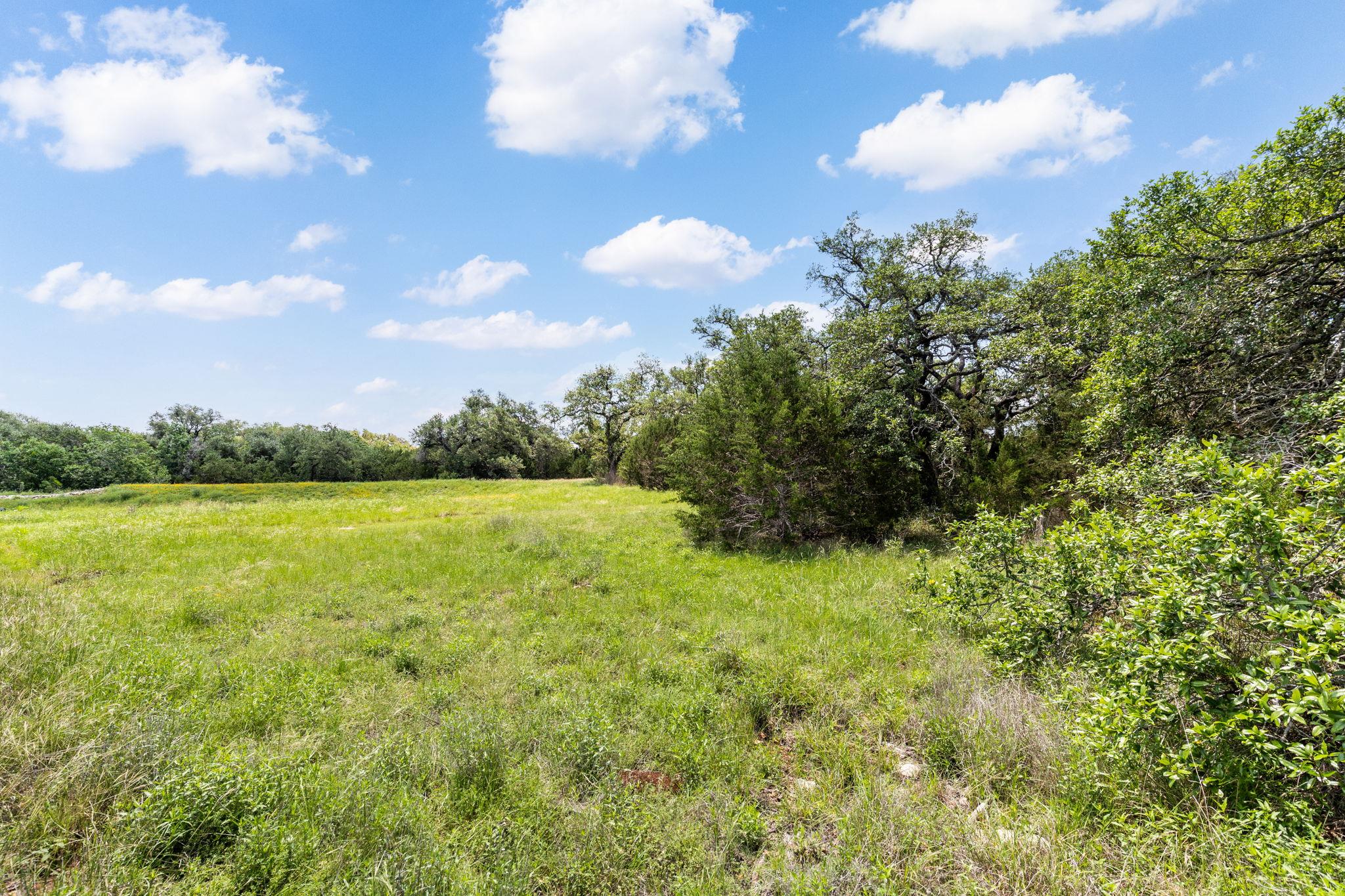 246 Toyah Dr, Dripping Springs, TX 78620