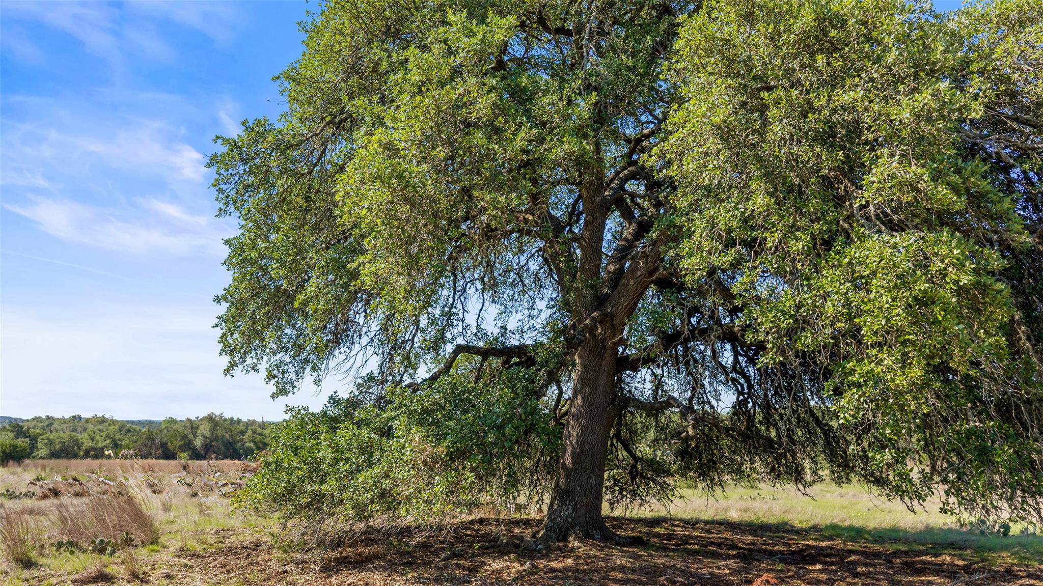 6590 US 290, Dripping Springs, TX 78620