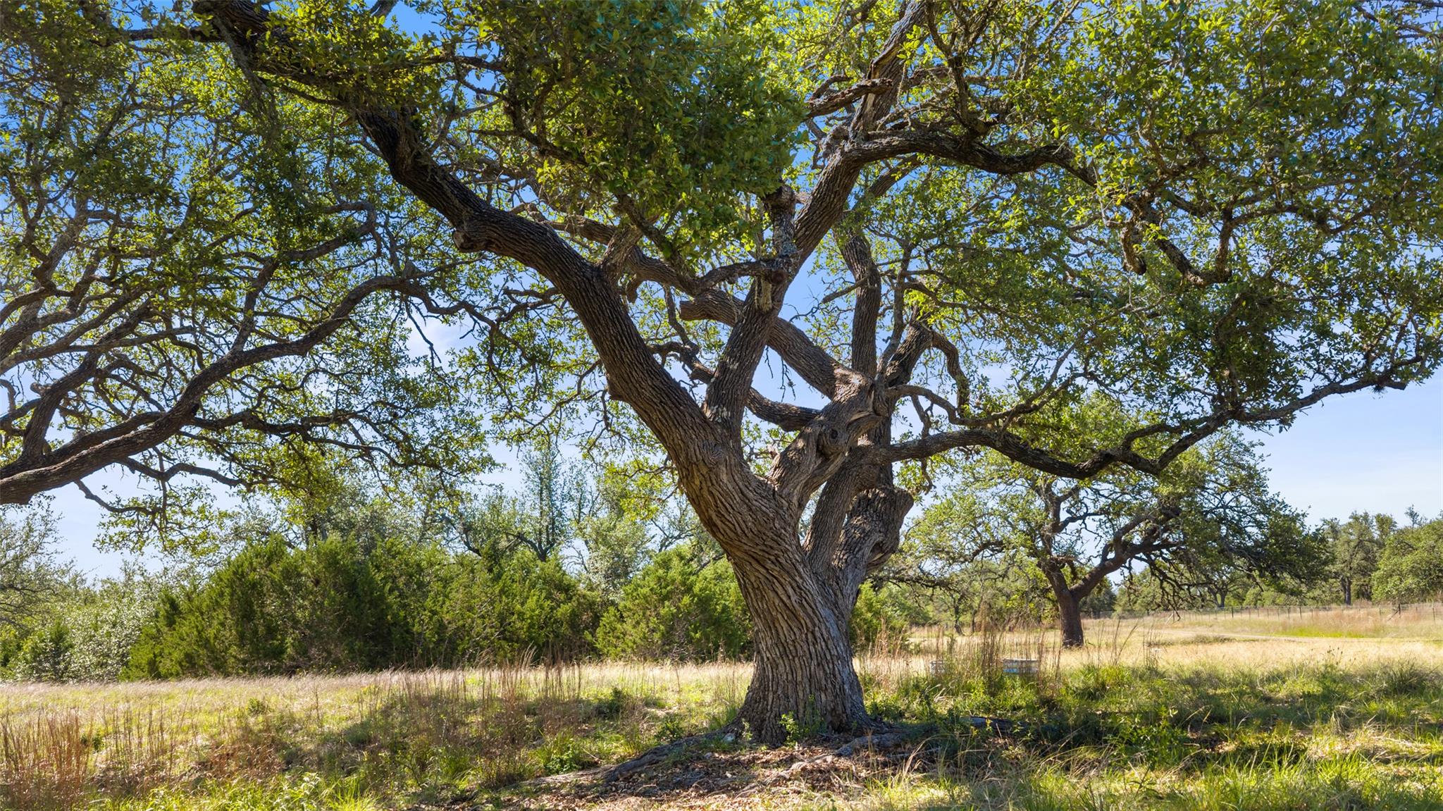 6590 US 290, Dripping Springs, TX 78620