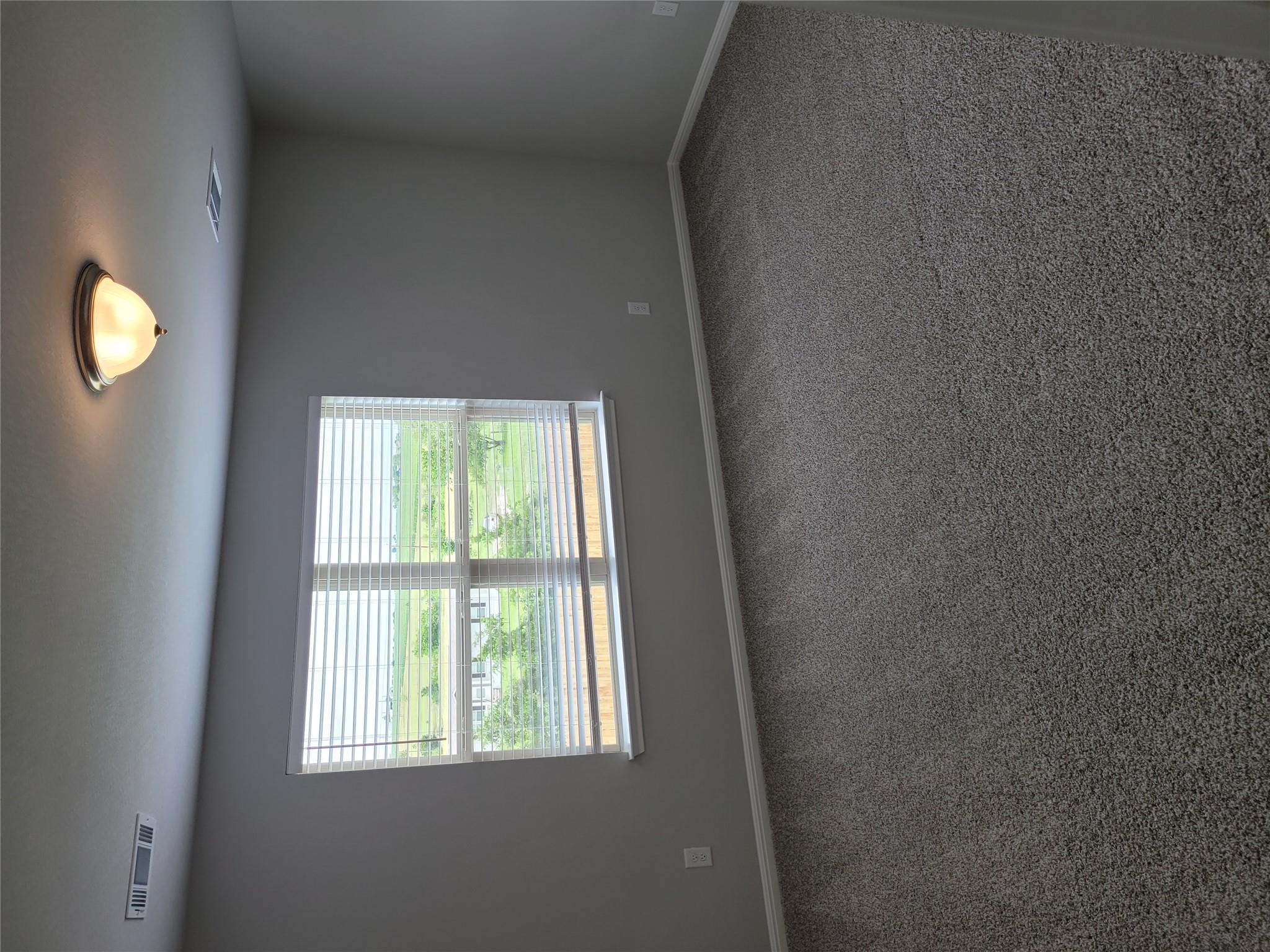 131 Wild Wind Cv, Jarrell, TX 76537
