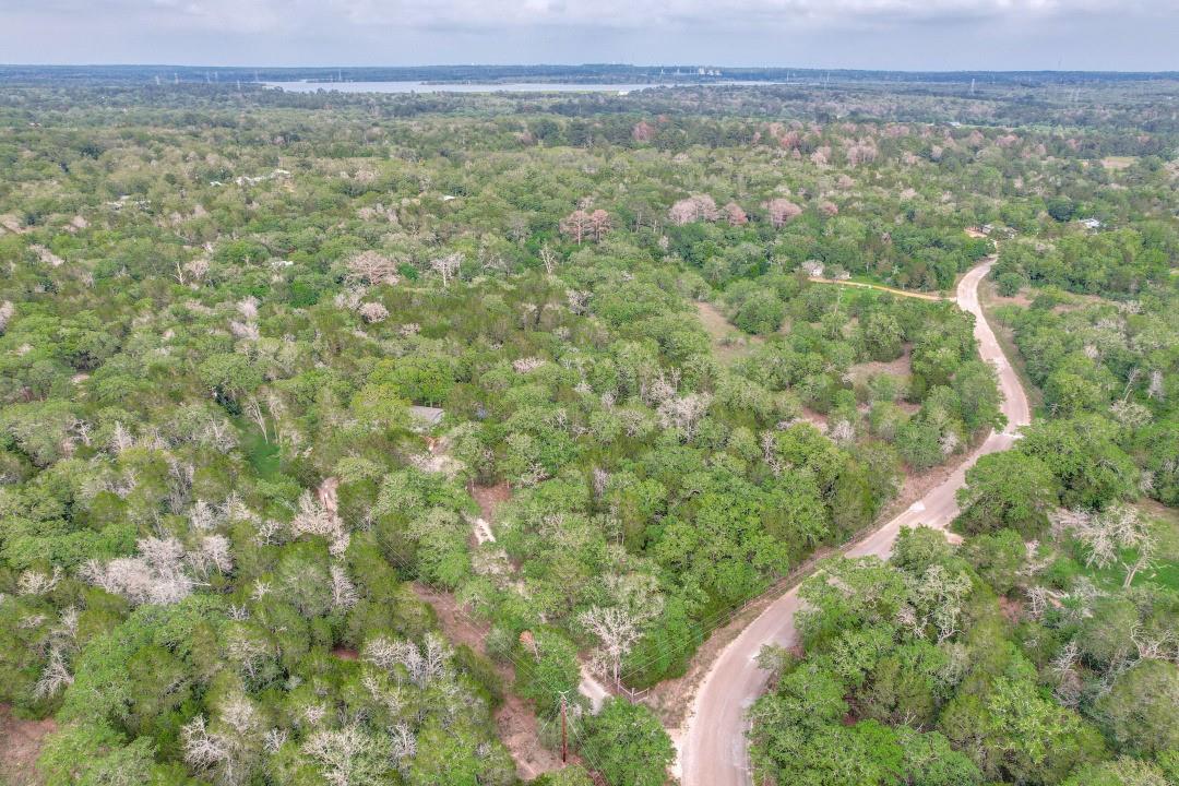 319 Green Oaks Dr, Bastrop, TX 78602