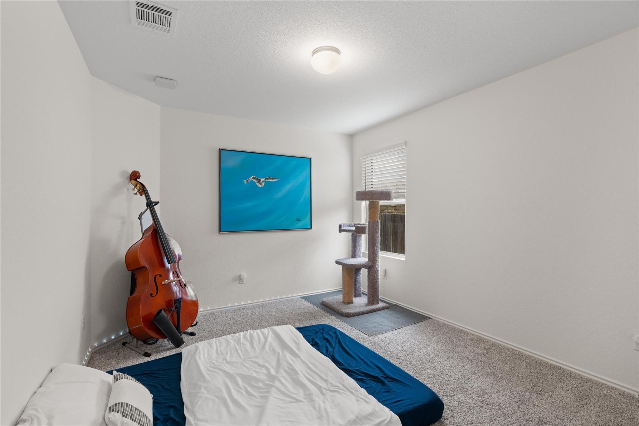 21400 Bird Wing Dr, Pflugerville, TX 78660
