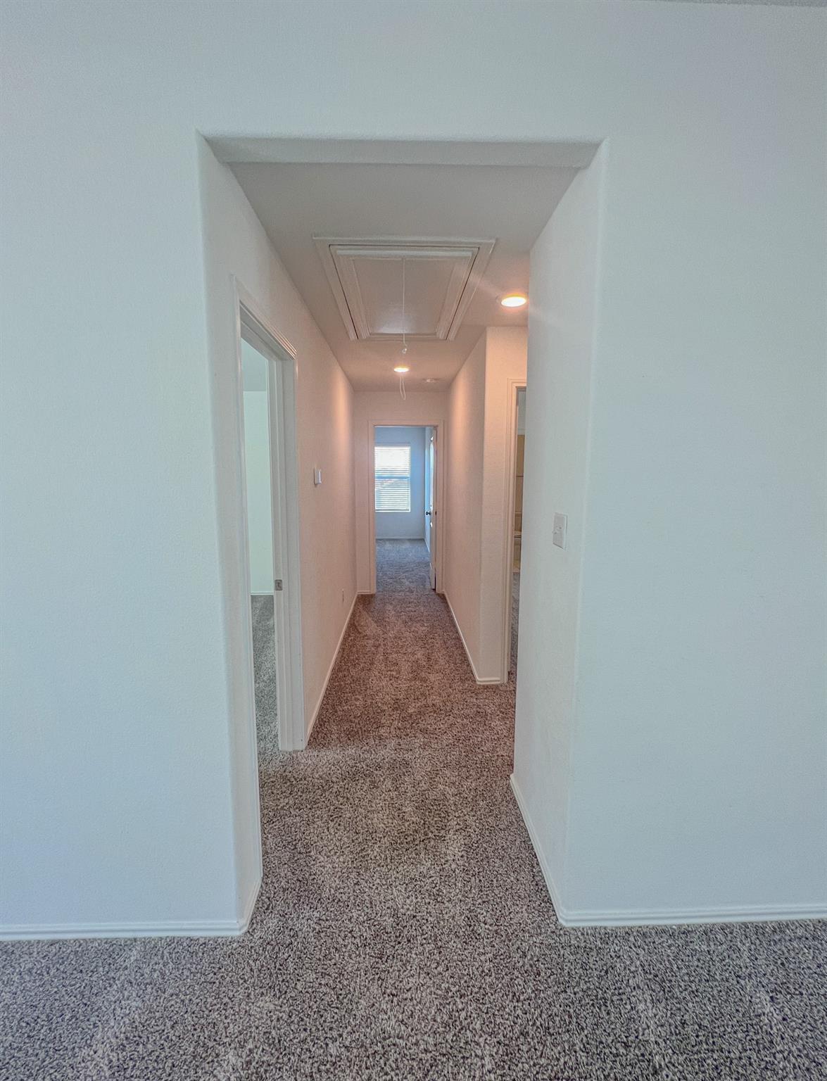438 Perfect World Loop, Jarrell, TX 76537