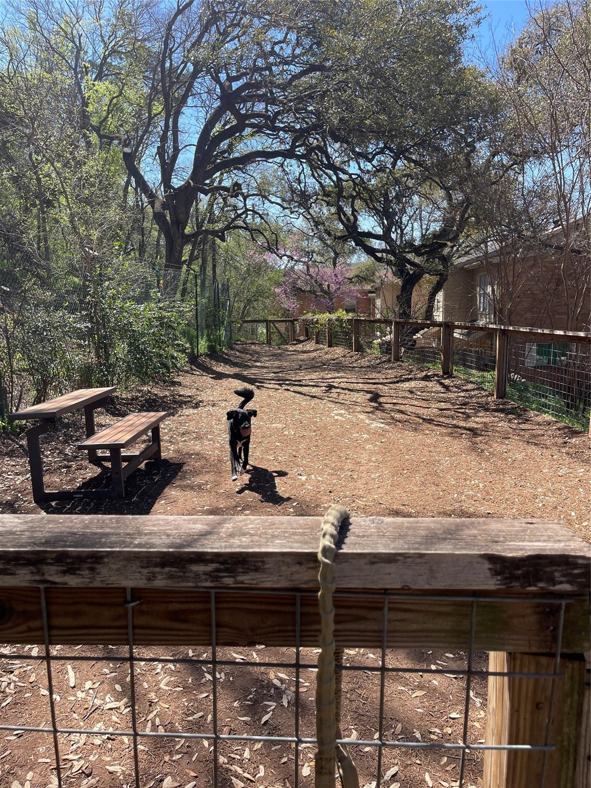 739 E Oltorf St, Austin, TX 78704