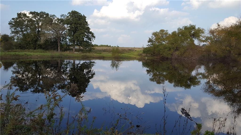 187 N Cedar Creek Dr, Cedar Creek, TX 78612