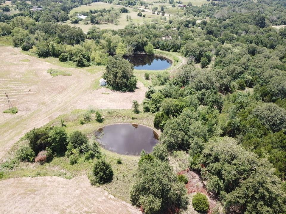 187 N Cedar Creek Dr, Cedar Creek, TX 78612